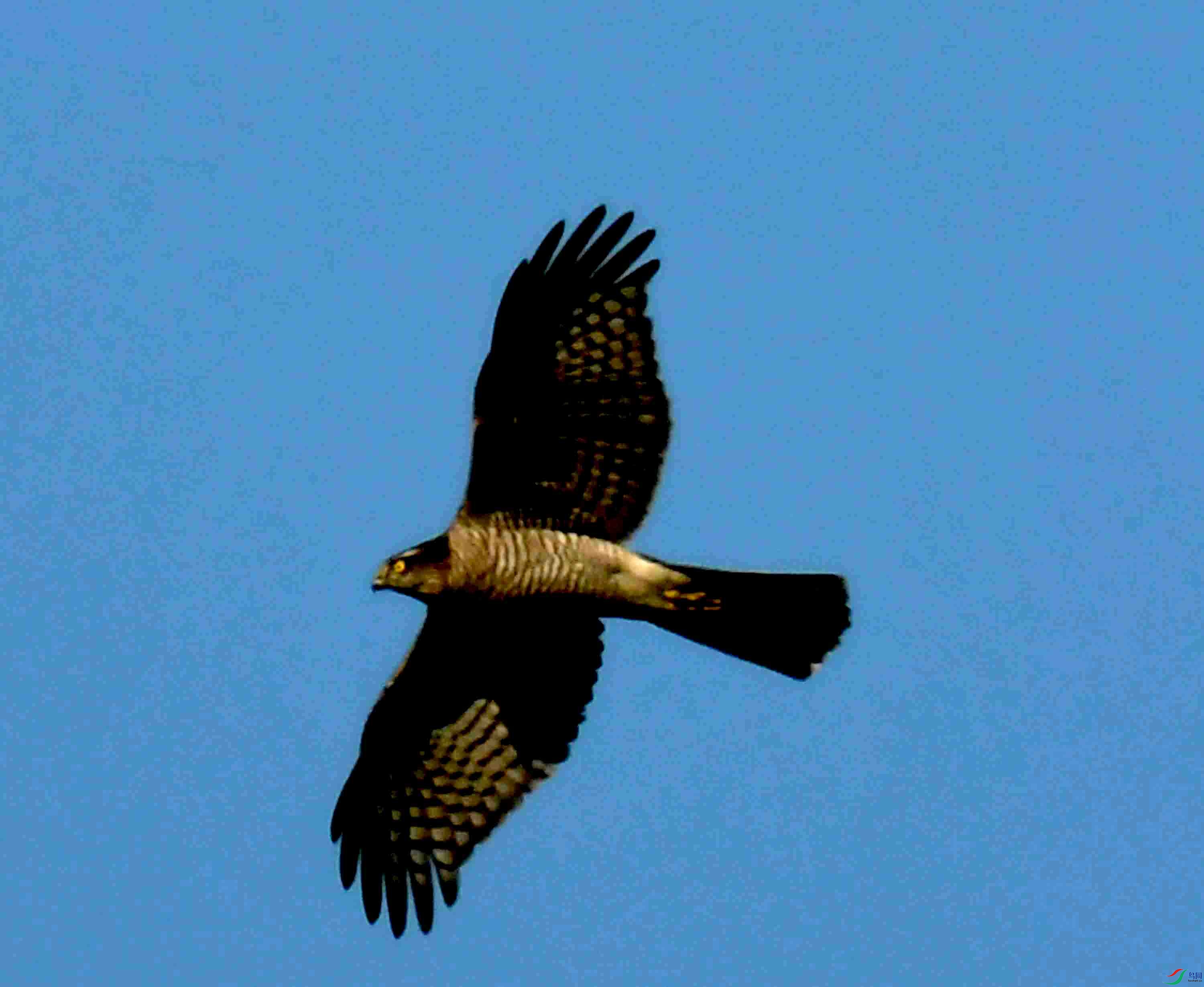 DSC_6415.JPG