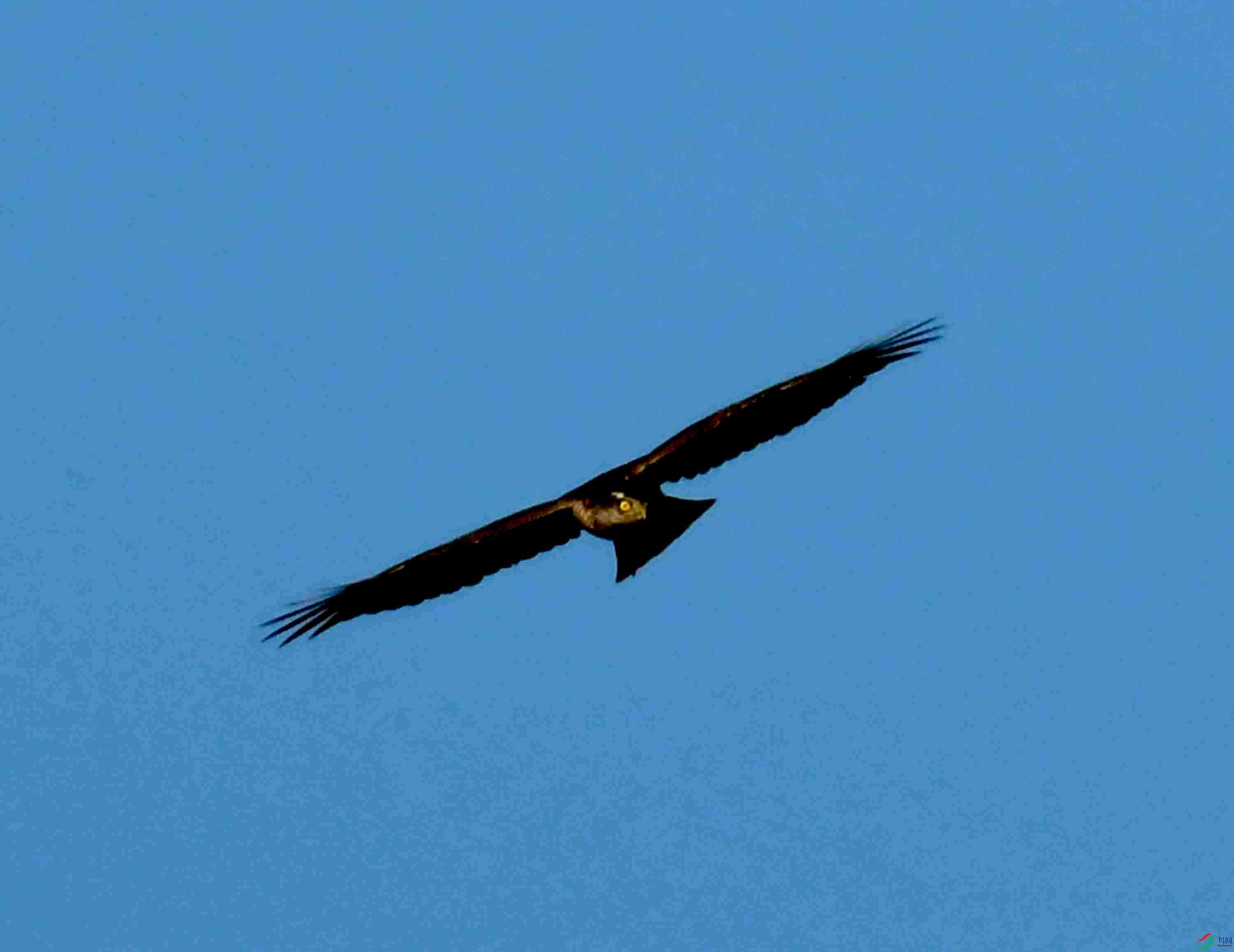 DSC_6422.JPG