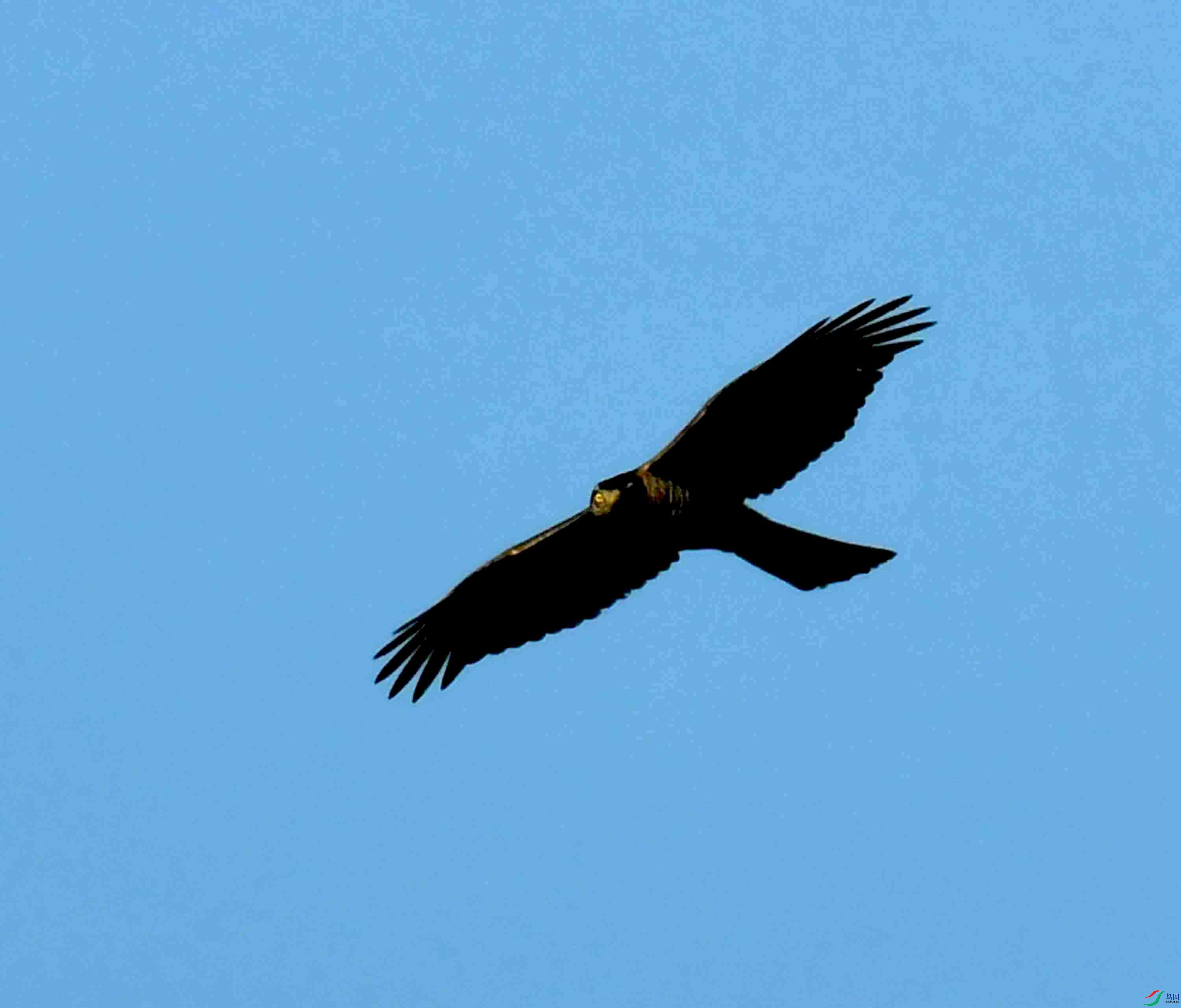 DSC_6414.JPG