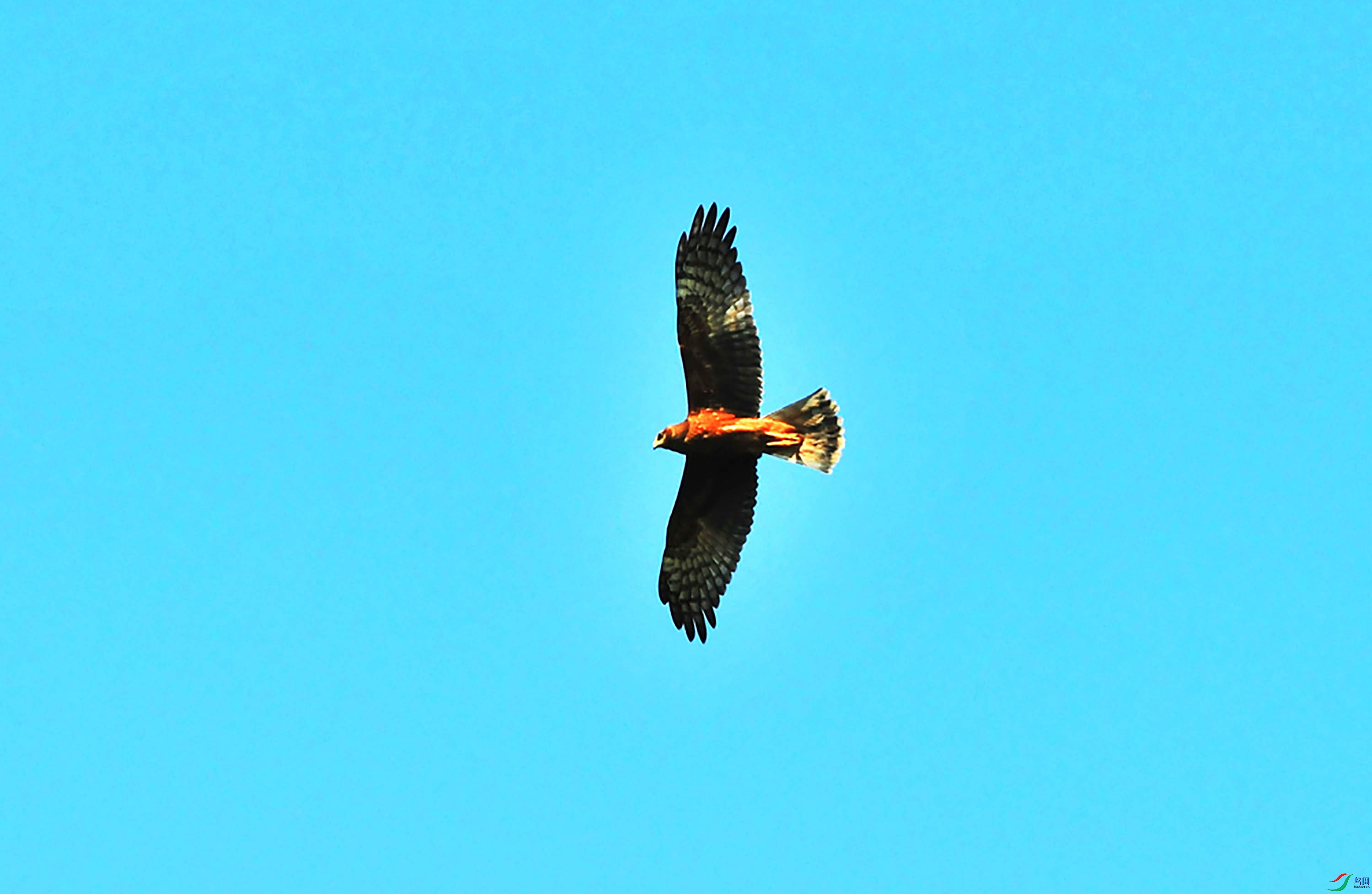 DSC_9797.JPG