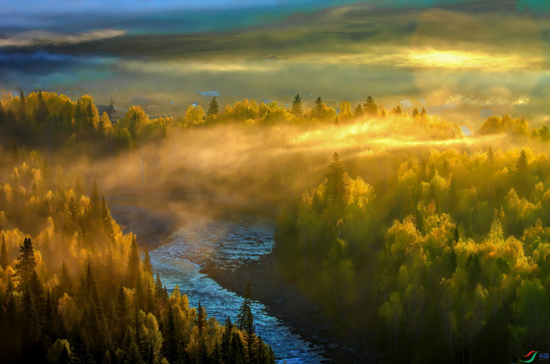 _DSC9264-NEF_ ��ľ���.jpg