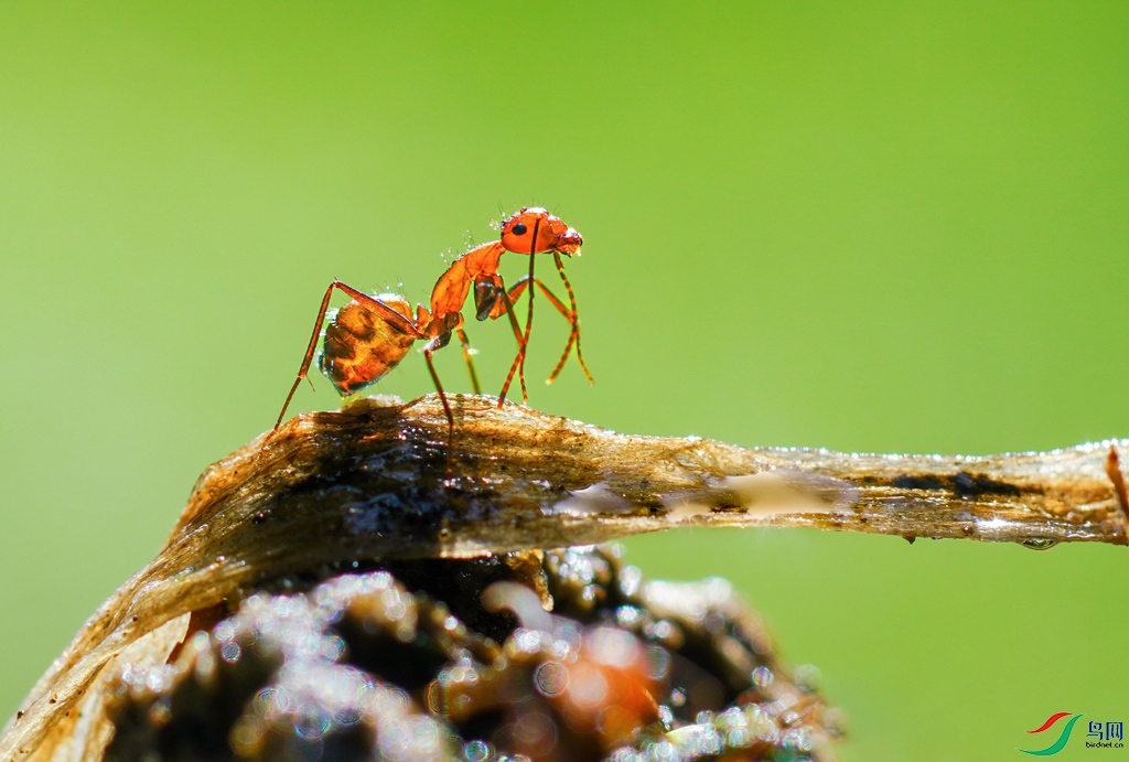 DSC03883 ����.jpg