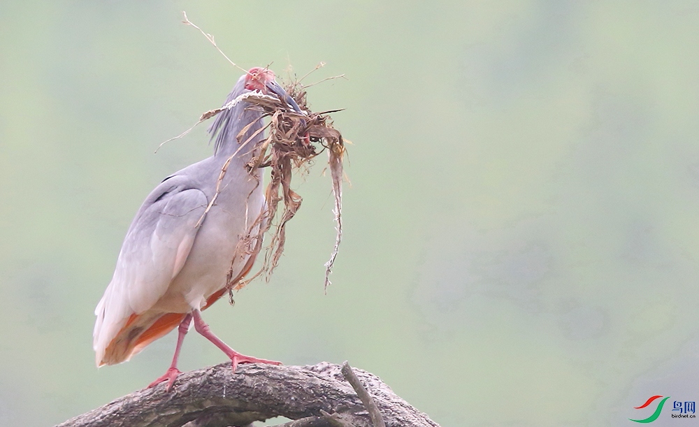 ���q[����] (2).JPG