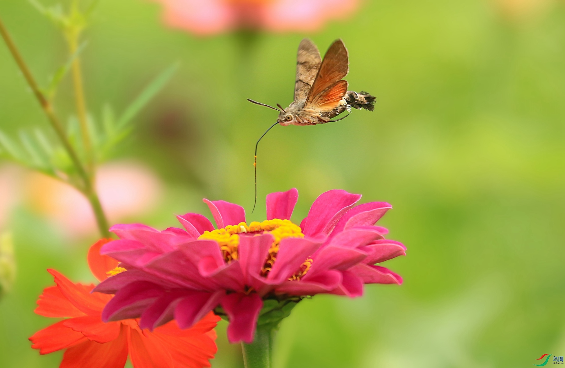 ��259a0427_����.jpg