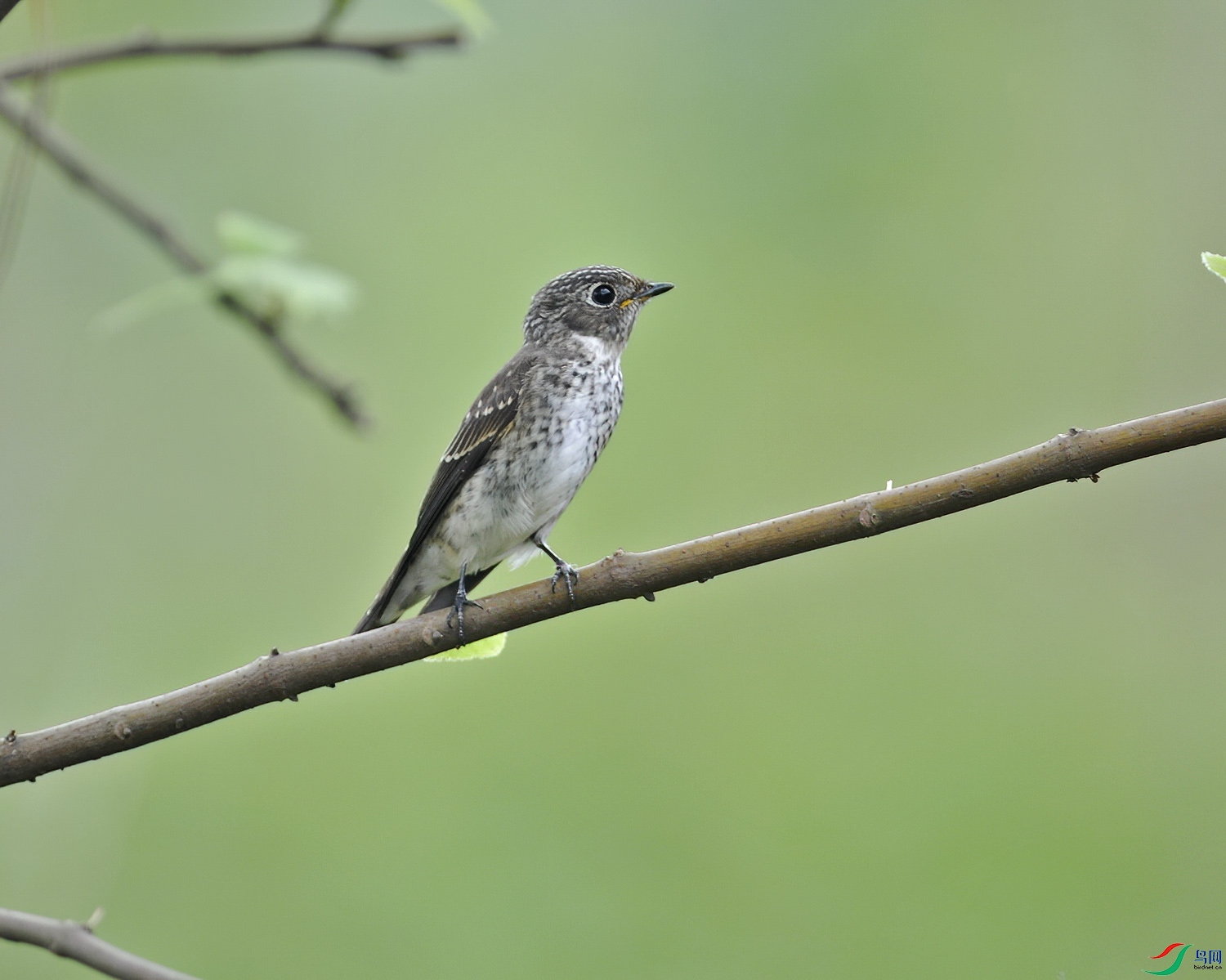 DSC_0702.jpg