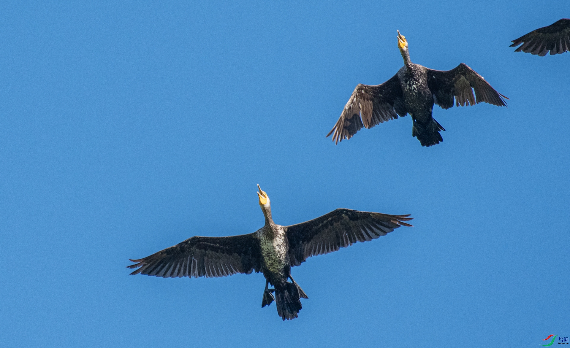 DSC_5740.jpg