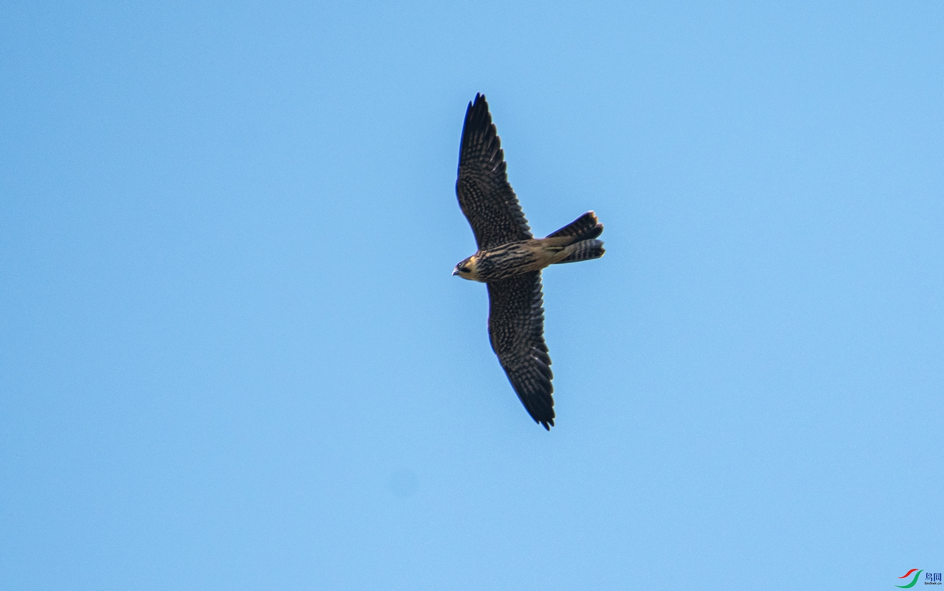 DSC_6606.jpg