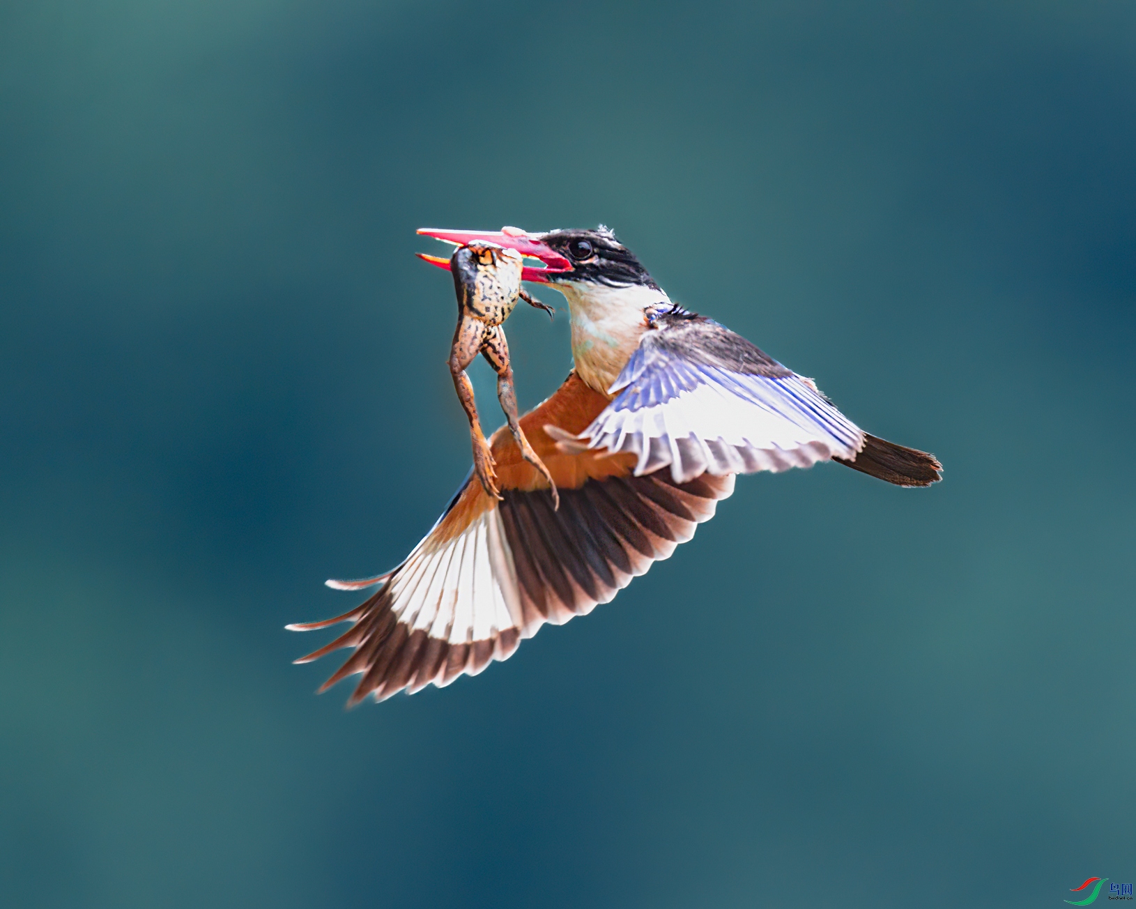 DSC_8383.jpg