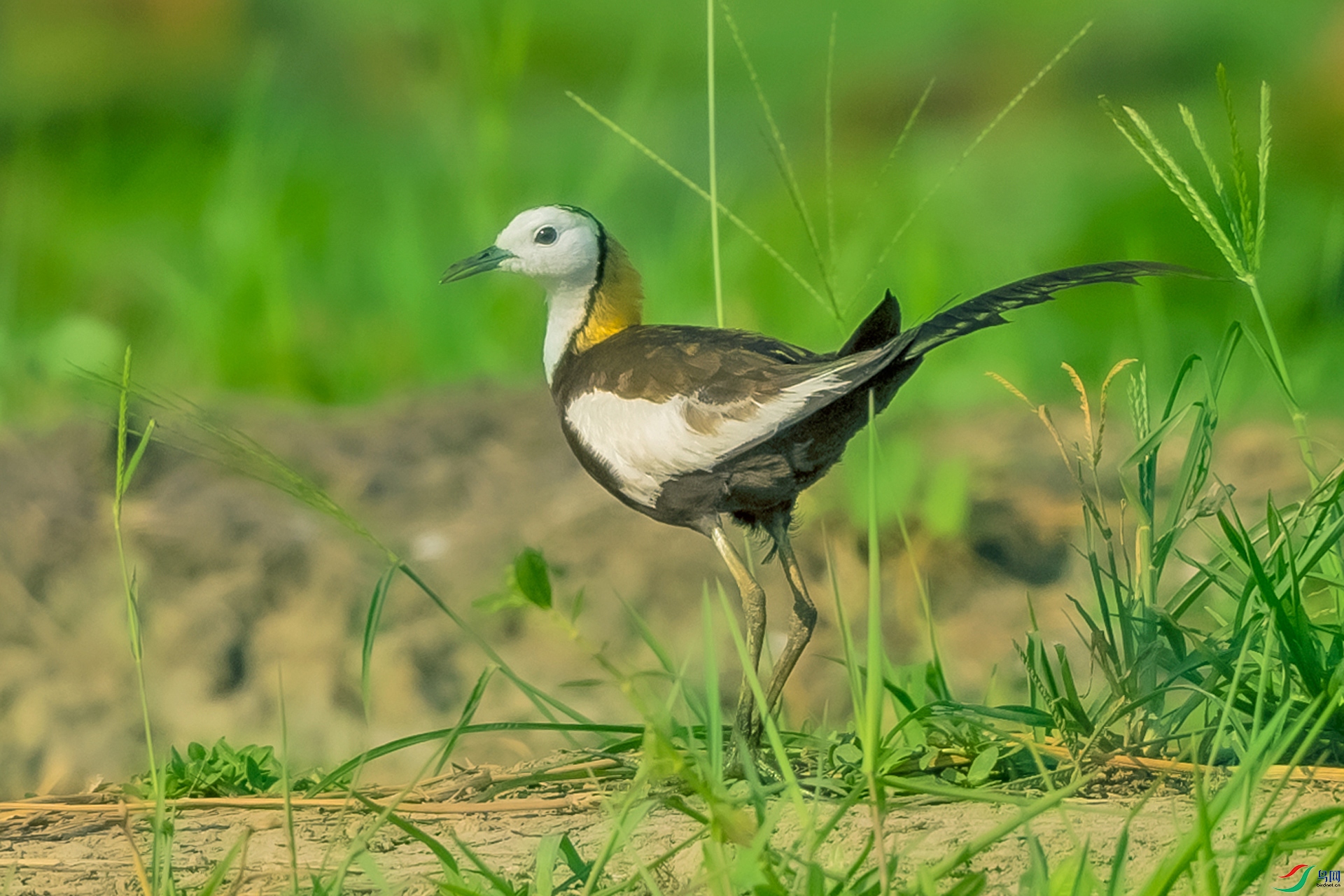 z907-��LPY_9845.jpg