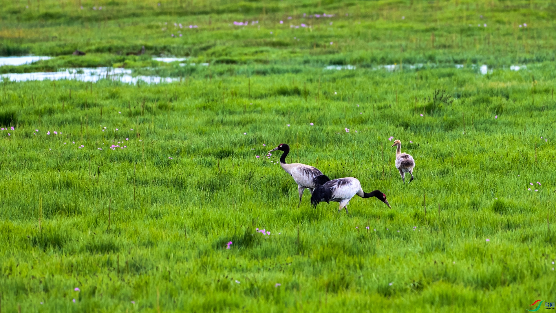 DSC_4400_����.jpg
