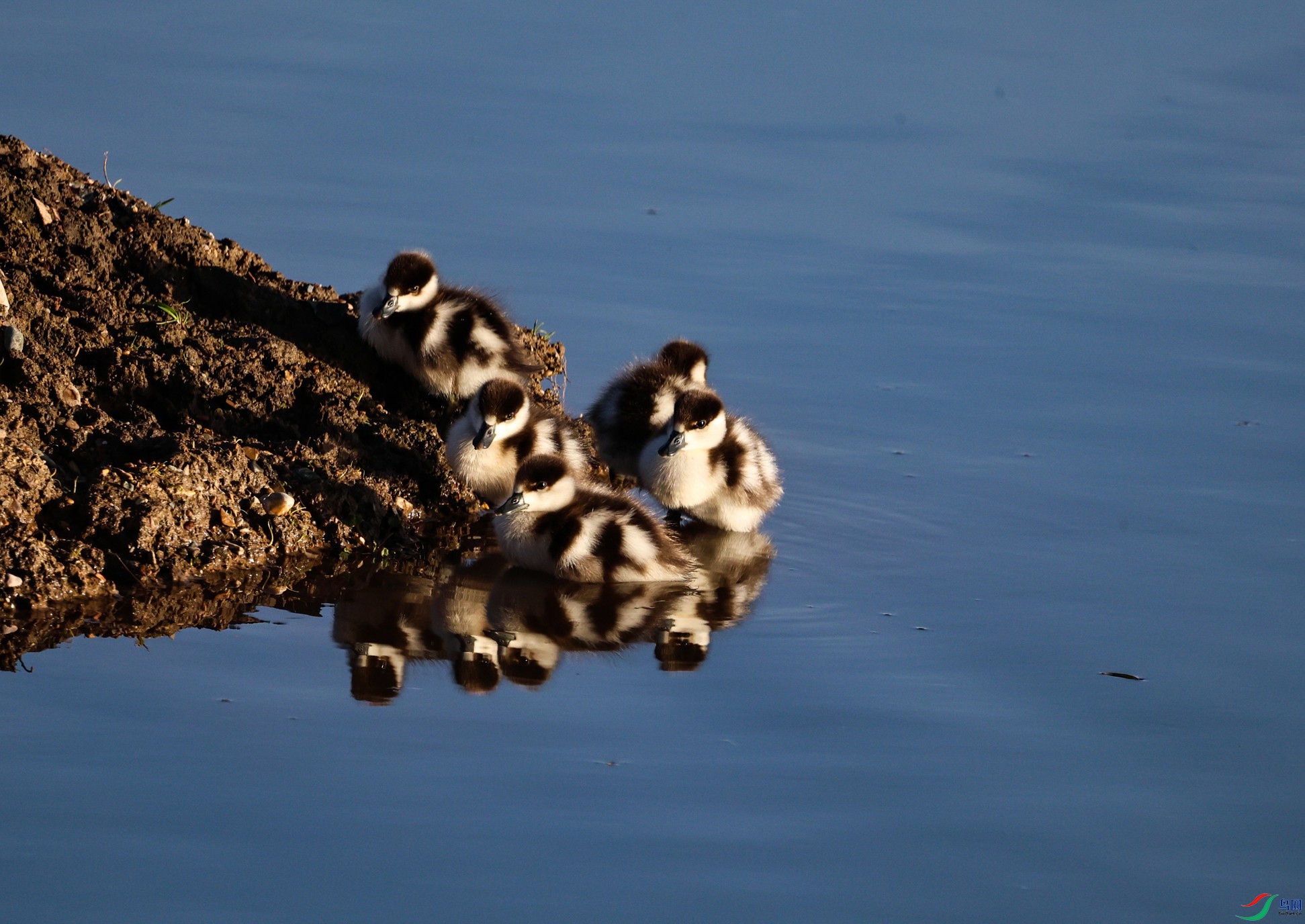 7X5A9706 - ����.JPG