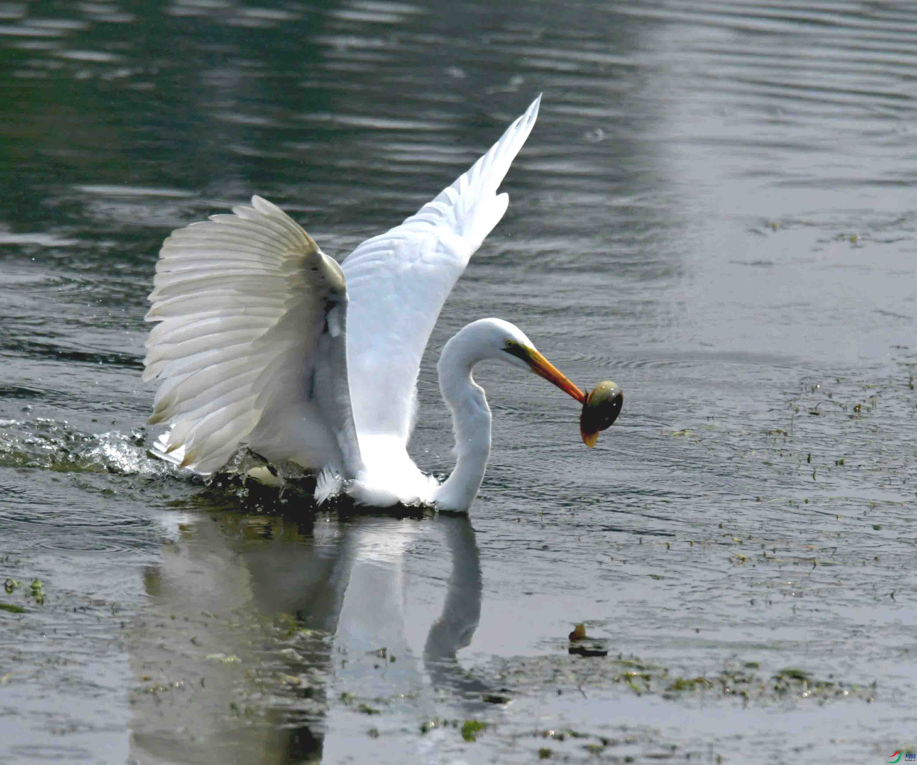 DSC_3898.JPG