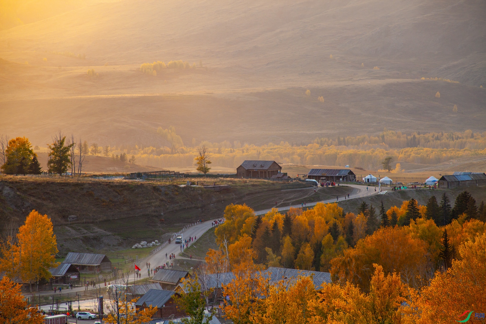 _MG_8477.jpg