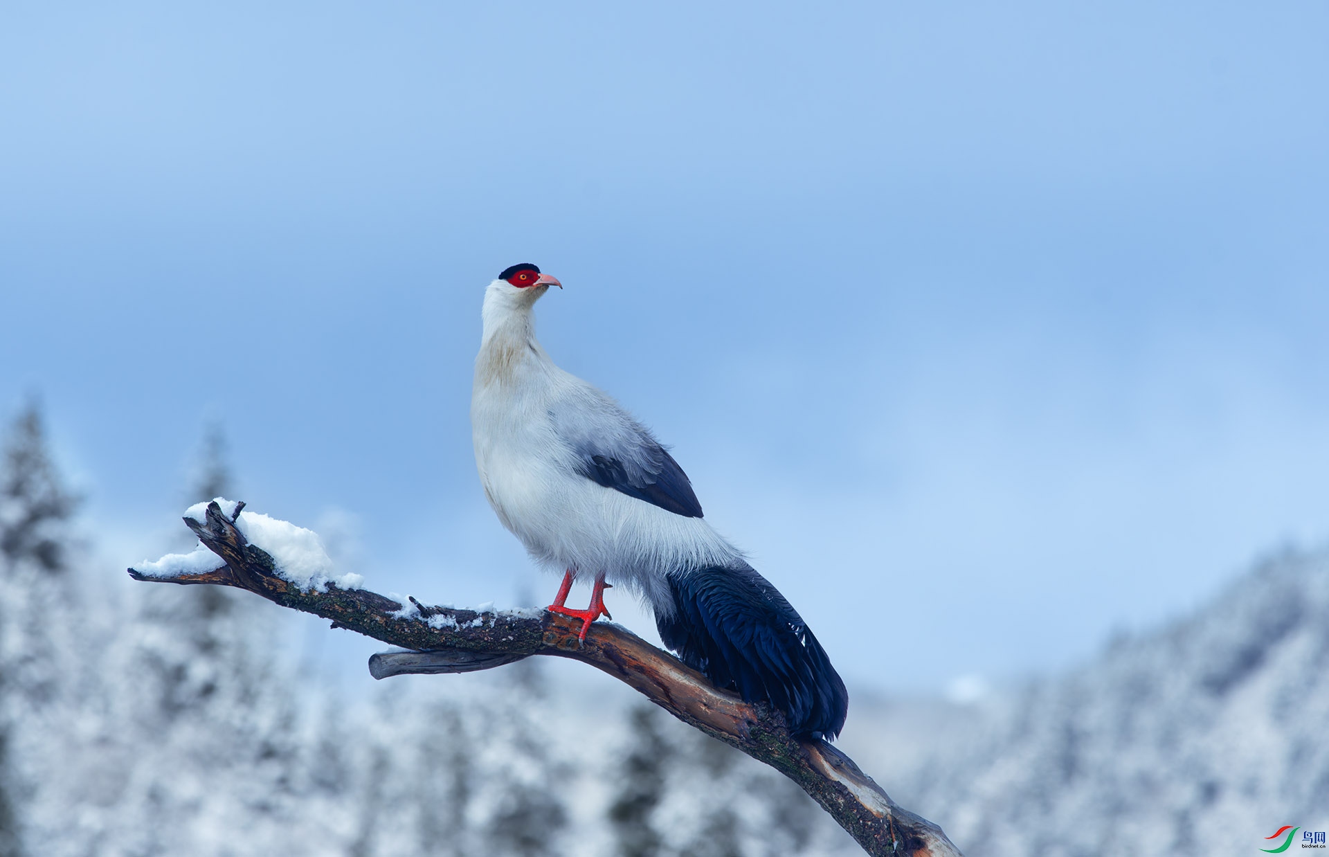 DSC_9557-1.jpg