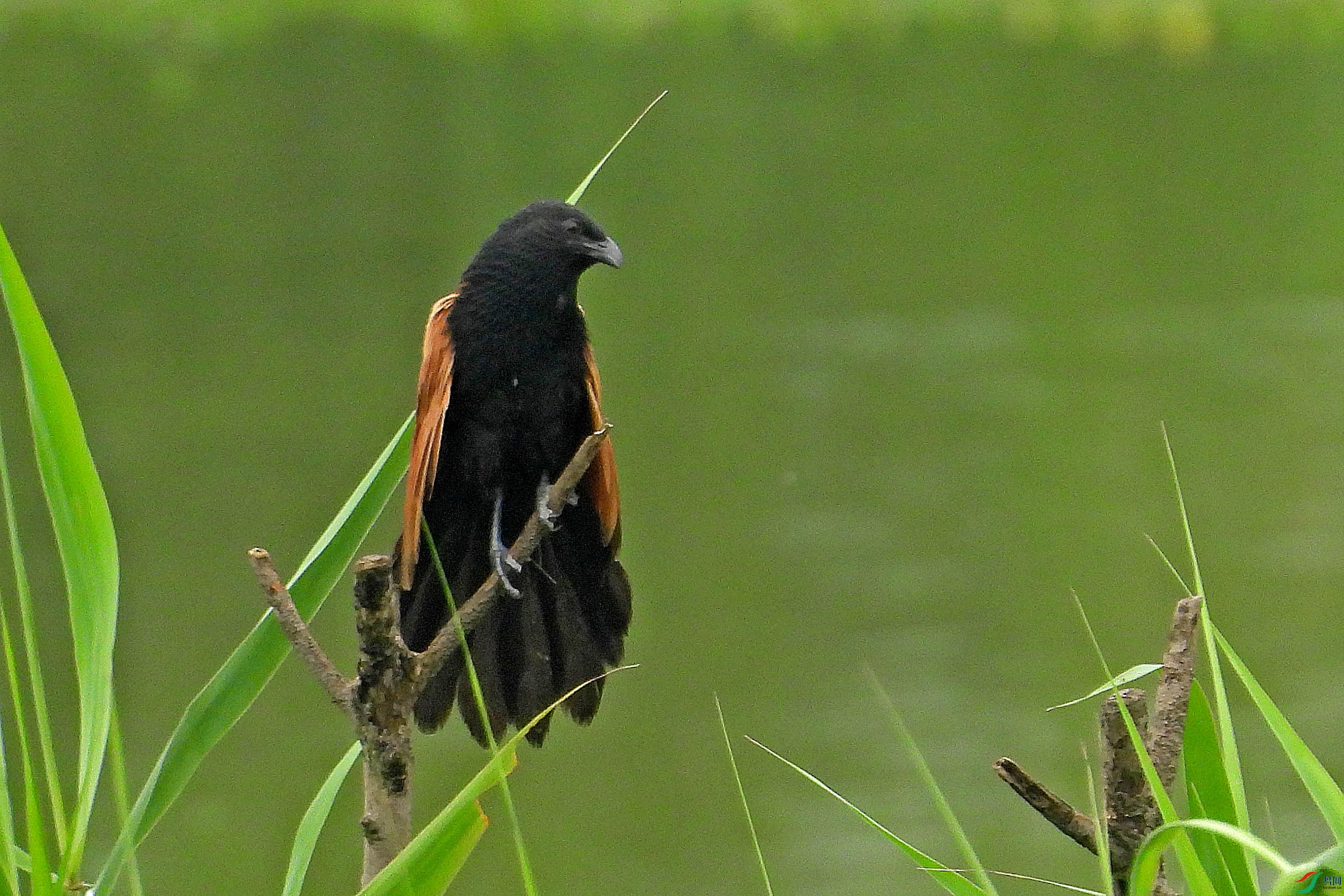 DSCN7188.JPG