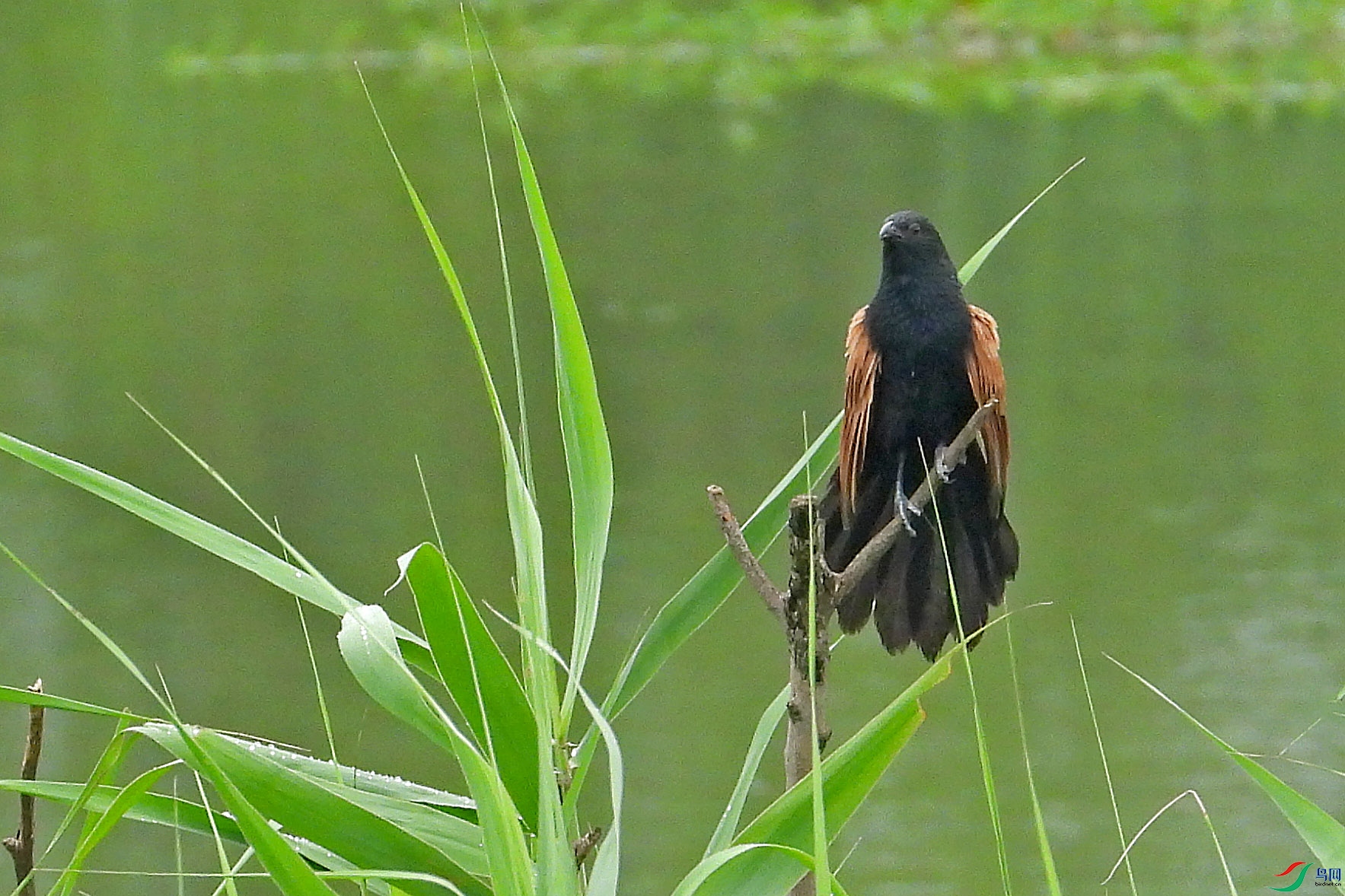 DSCN7198.JPG
