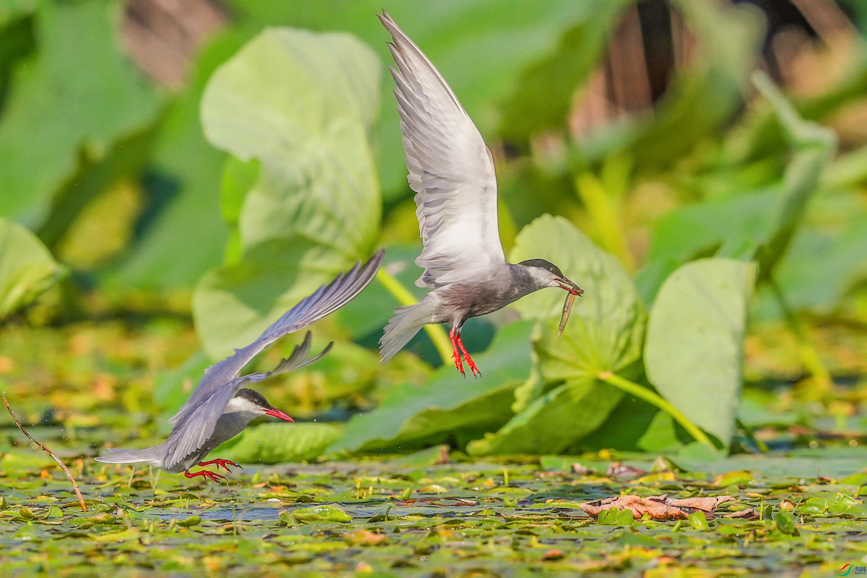 AK8I0907����  02.jpg