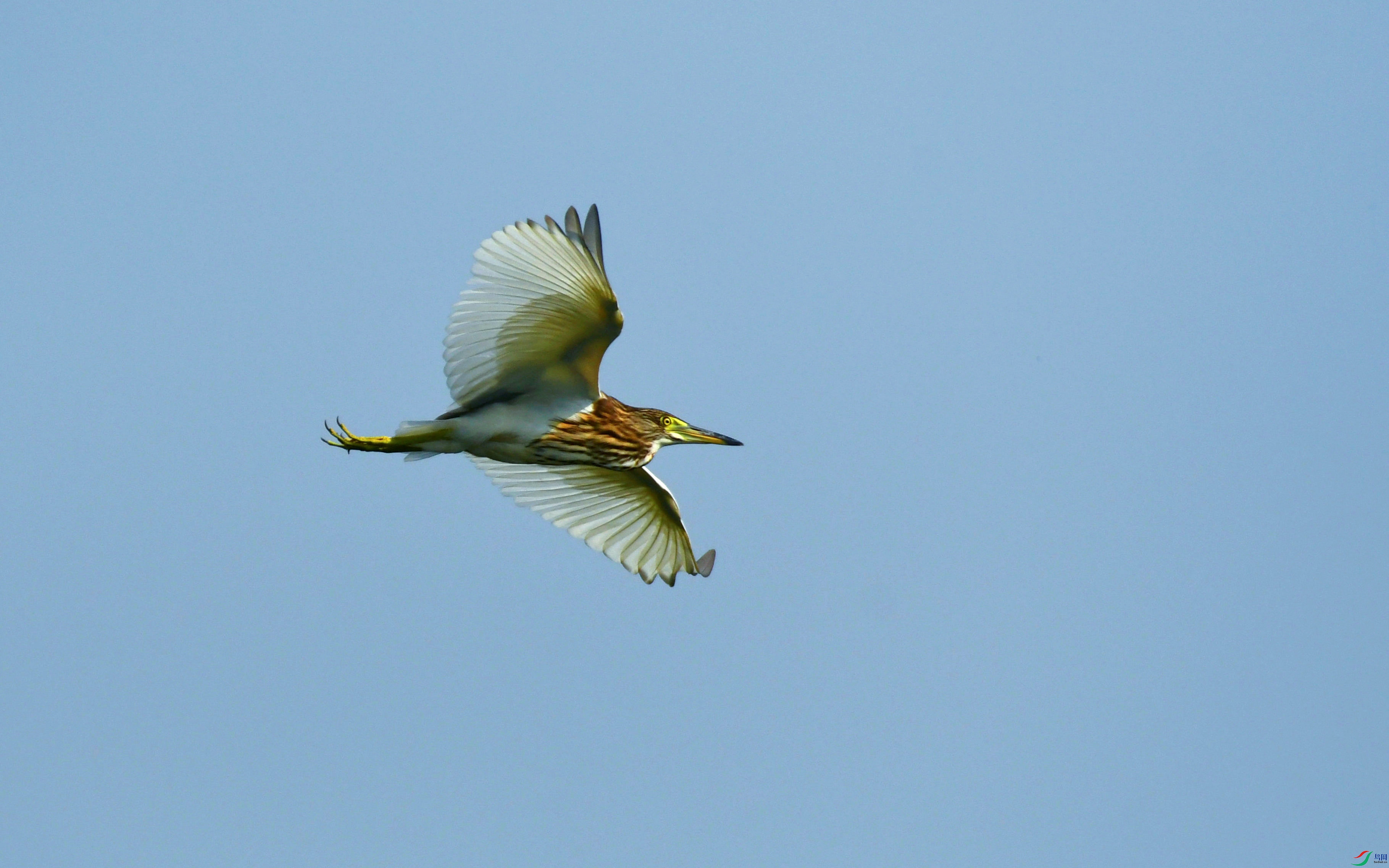 DSC_3139.JPG