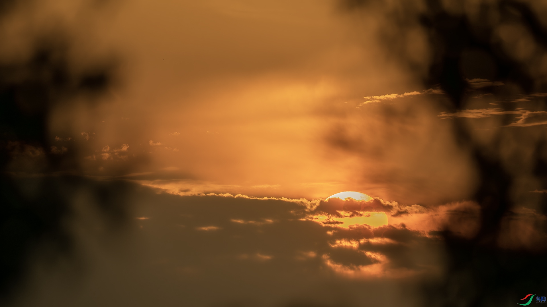 DSC_2615-����ǿ-NR ����.jpg