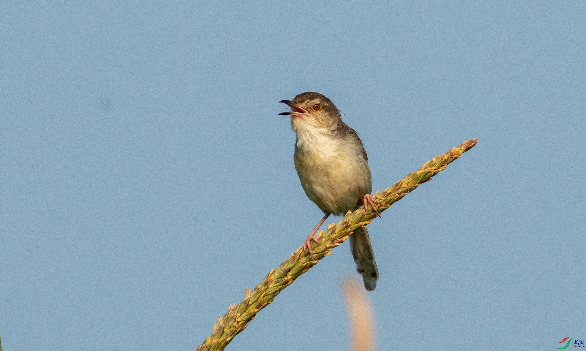 DSC_4697.jpg