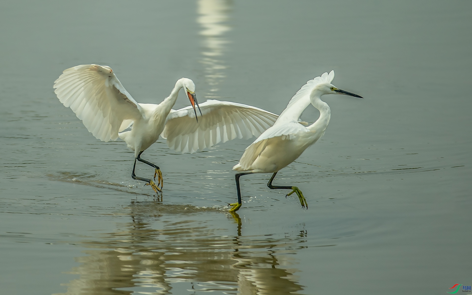 DSC_2211.jpg