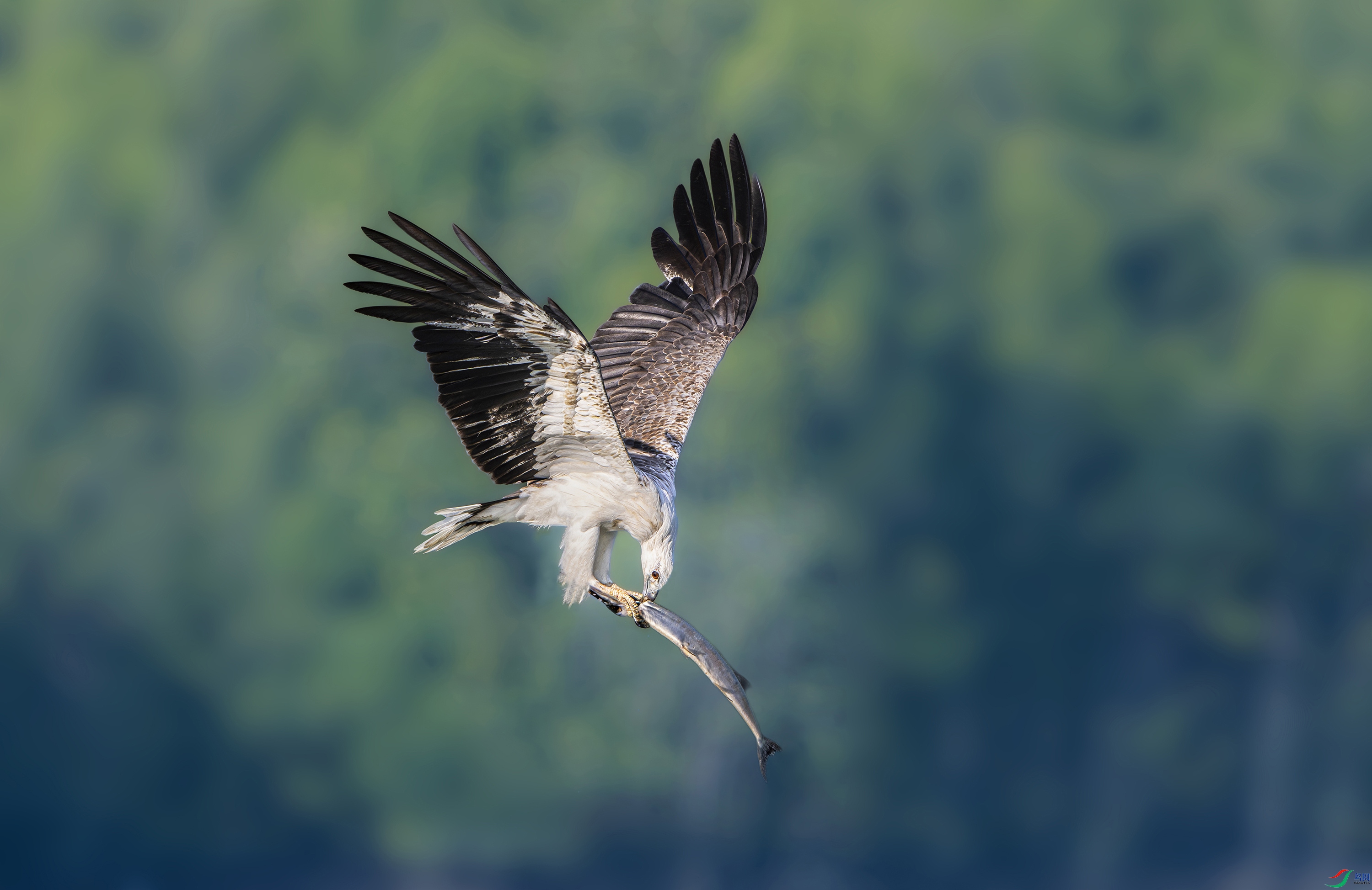 DSC_1395.jpg
