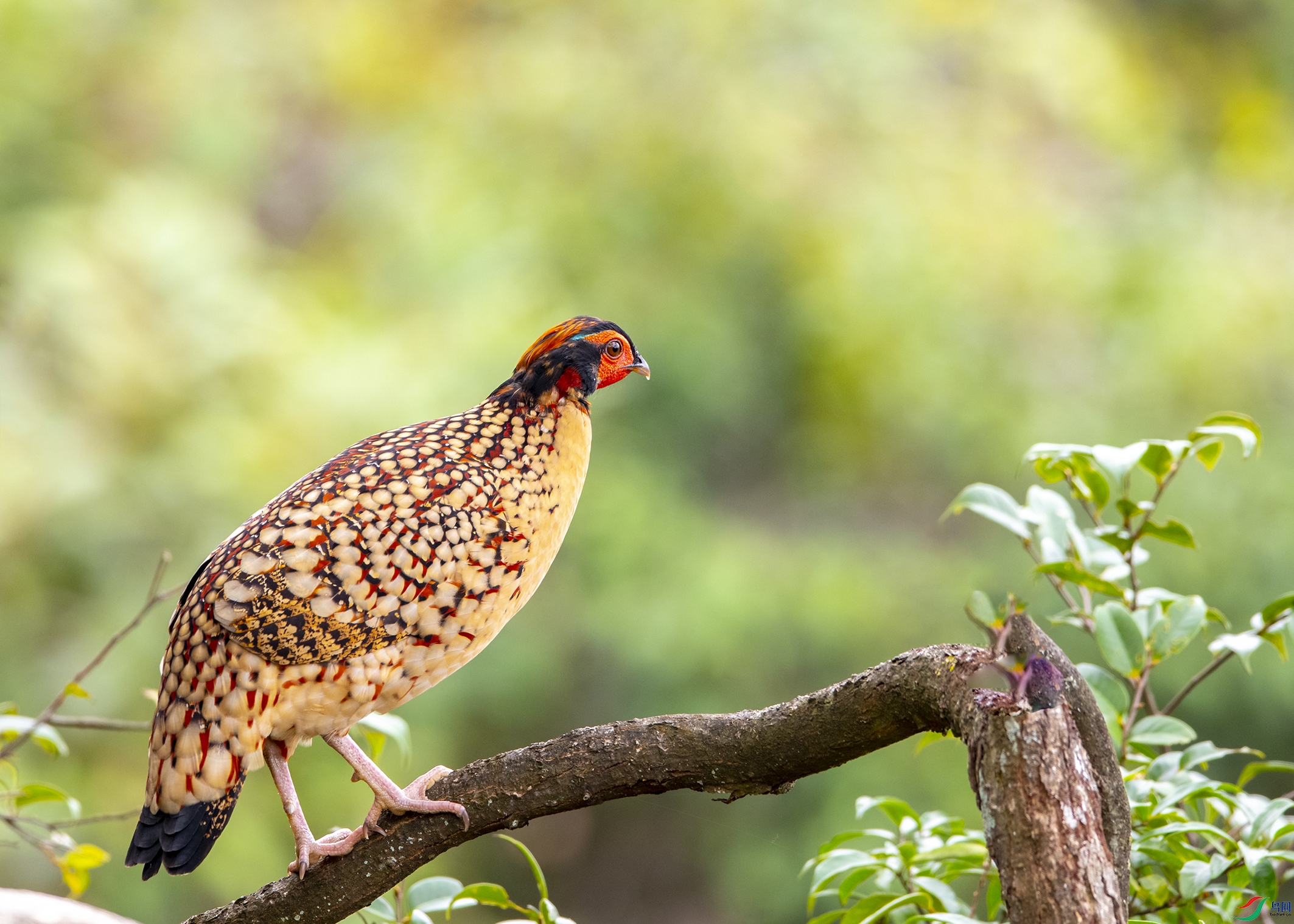 4728 ����.jpg