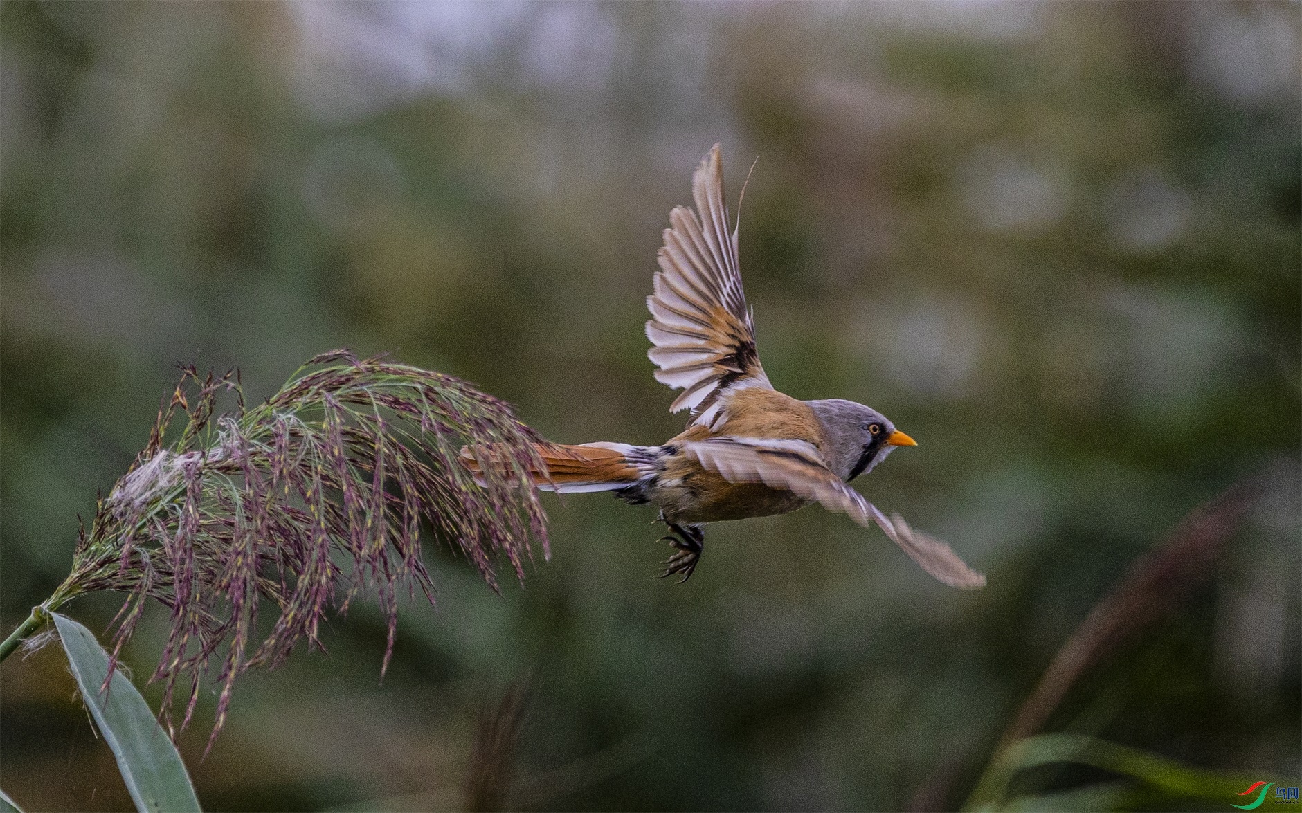 1K3A7355 ����1.jpg