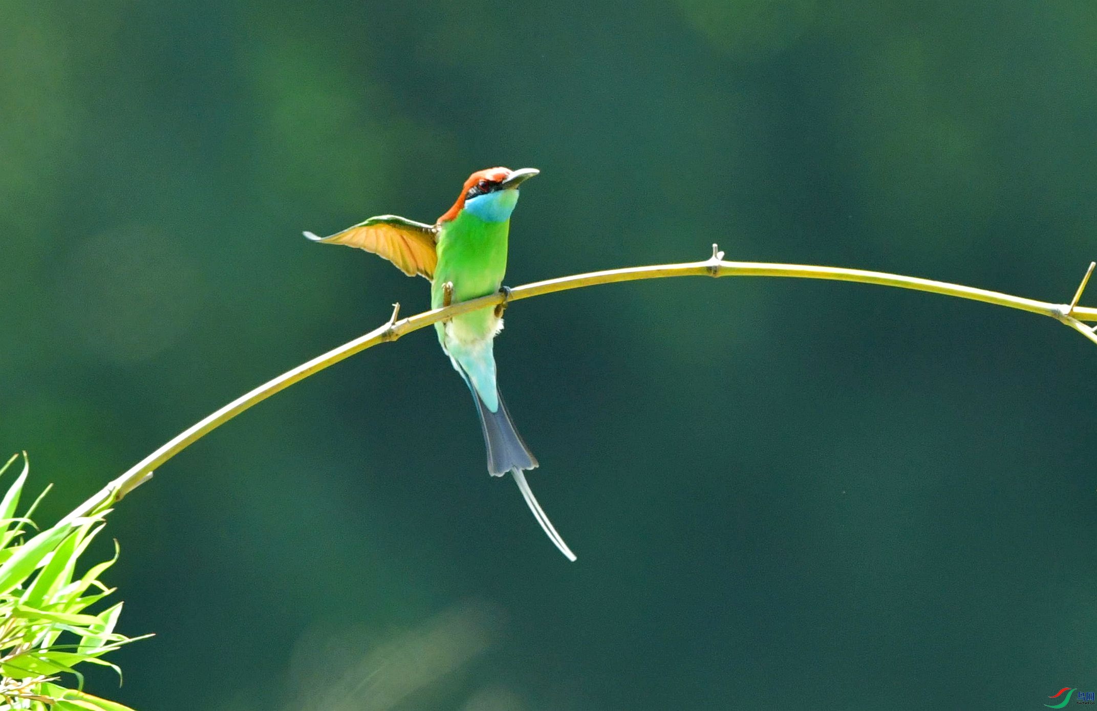 ����δ�ȡ�