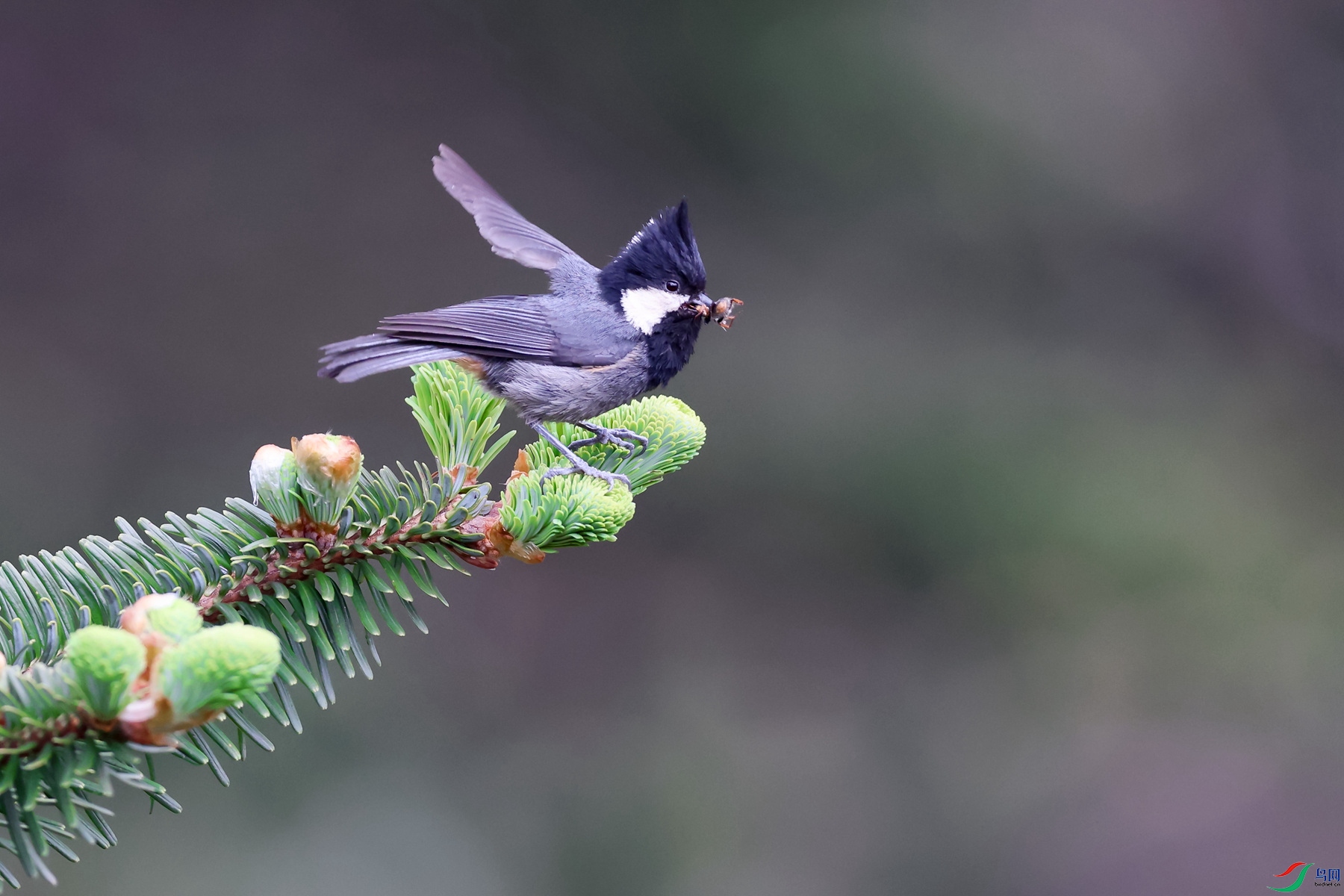 1M6A0035 ����_����.jpg