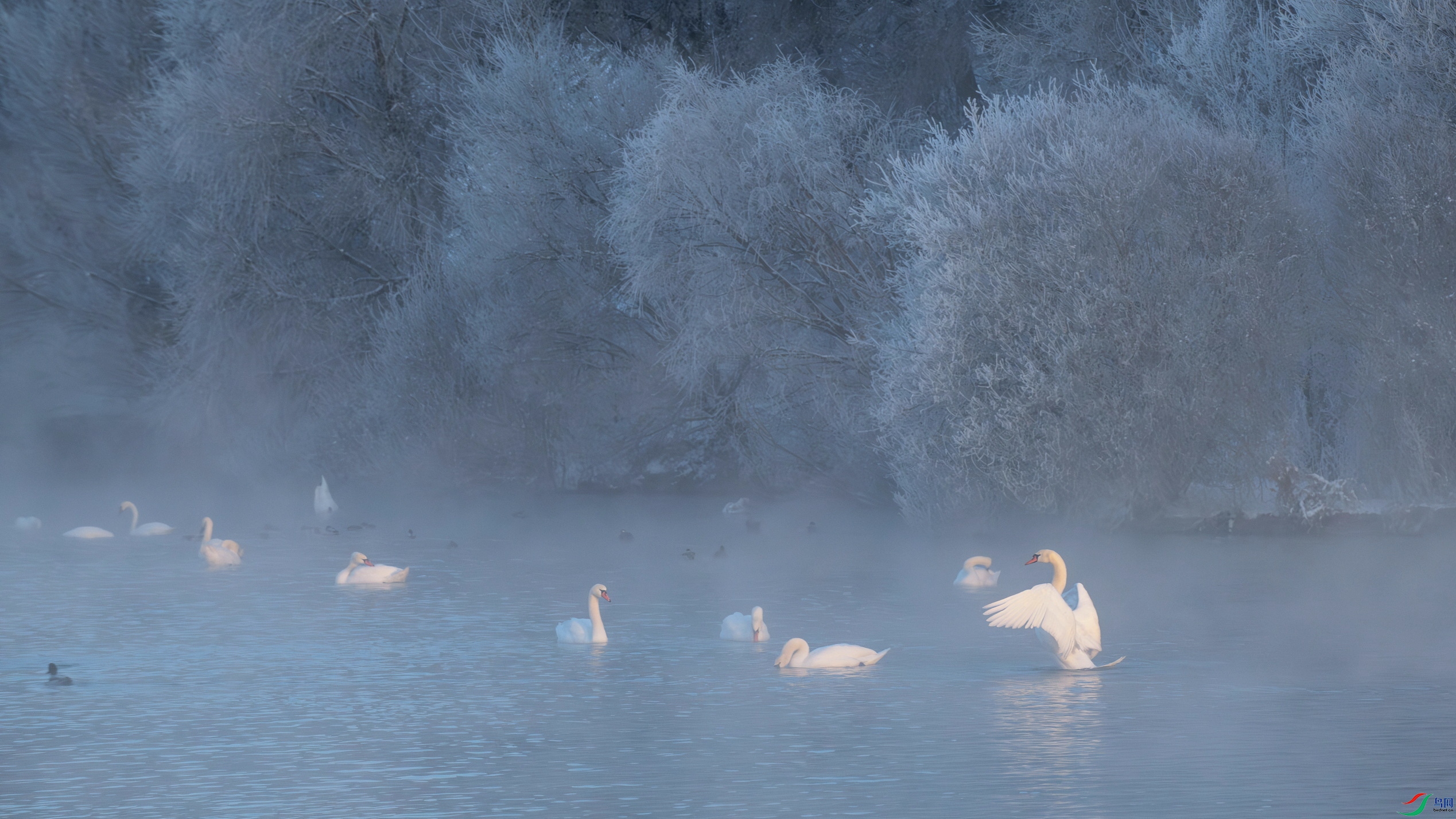 DSC_6483F03.jpg