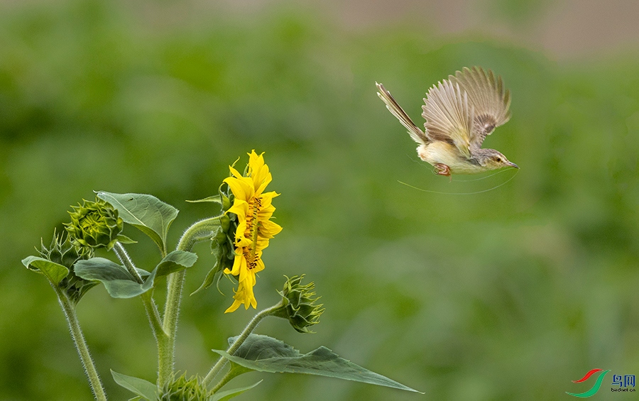 0R5A7791 ����.jpg