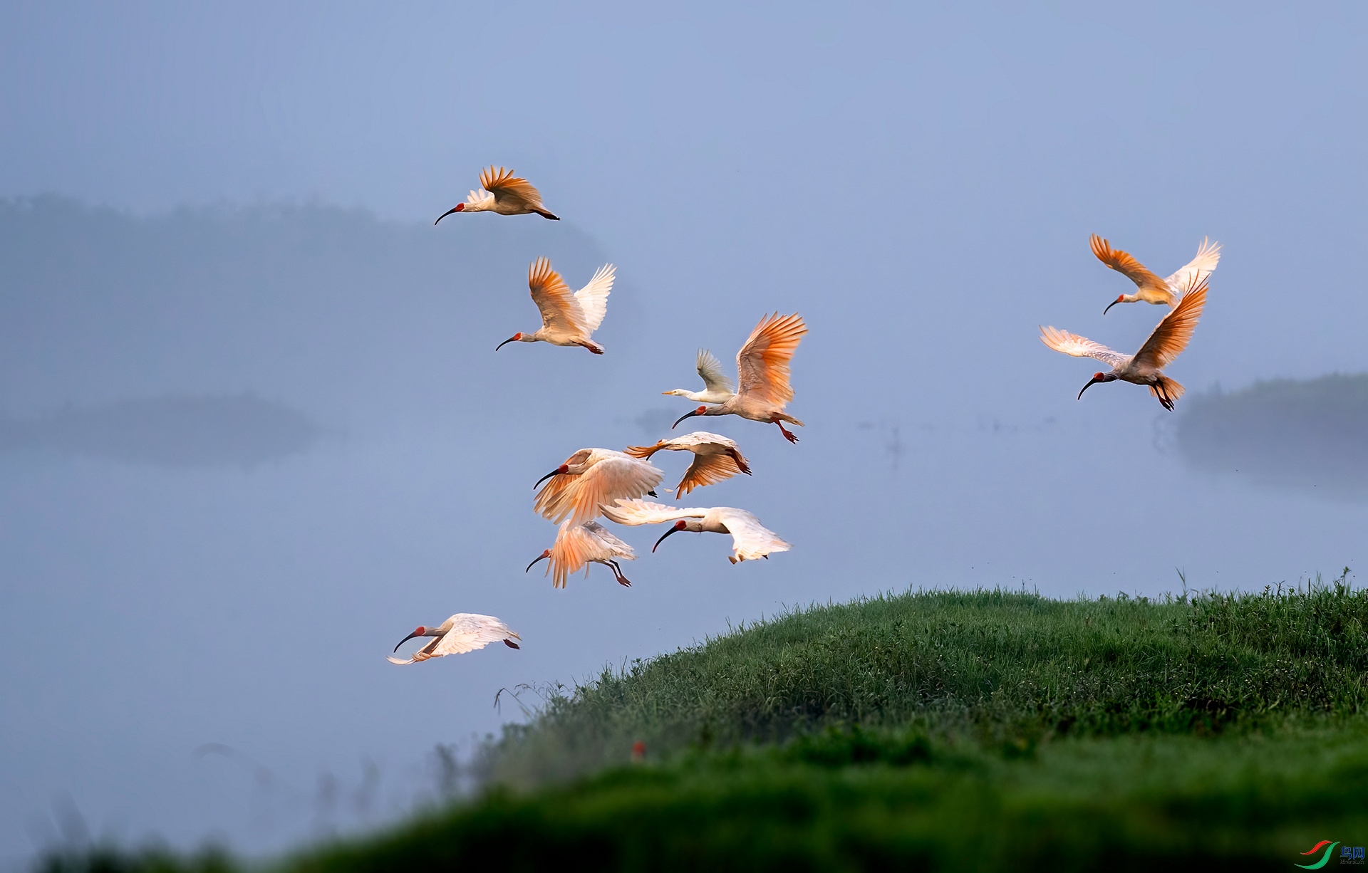 DSC_1364 ����_����.jpg