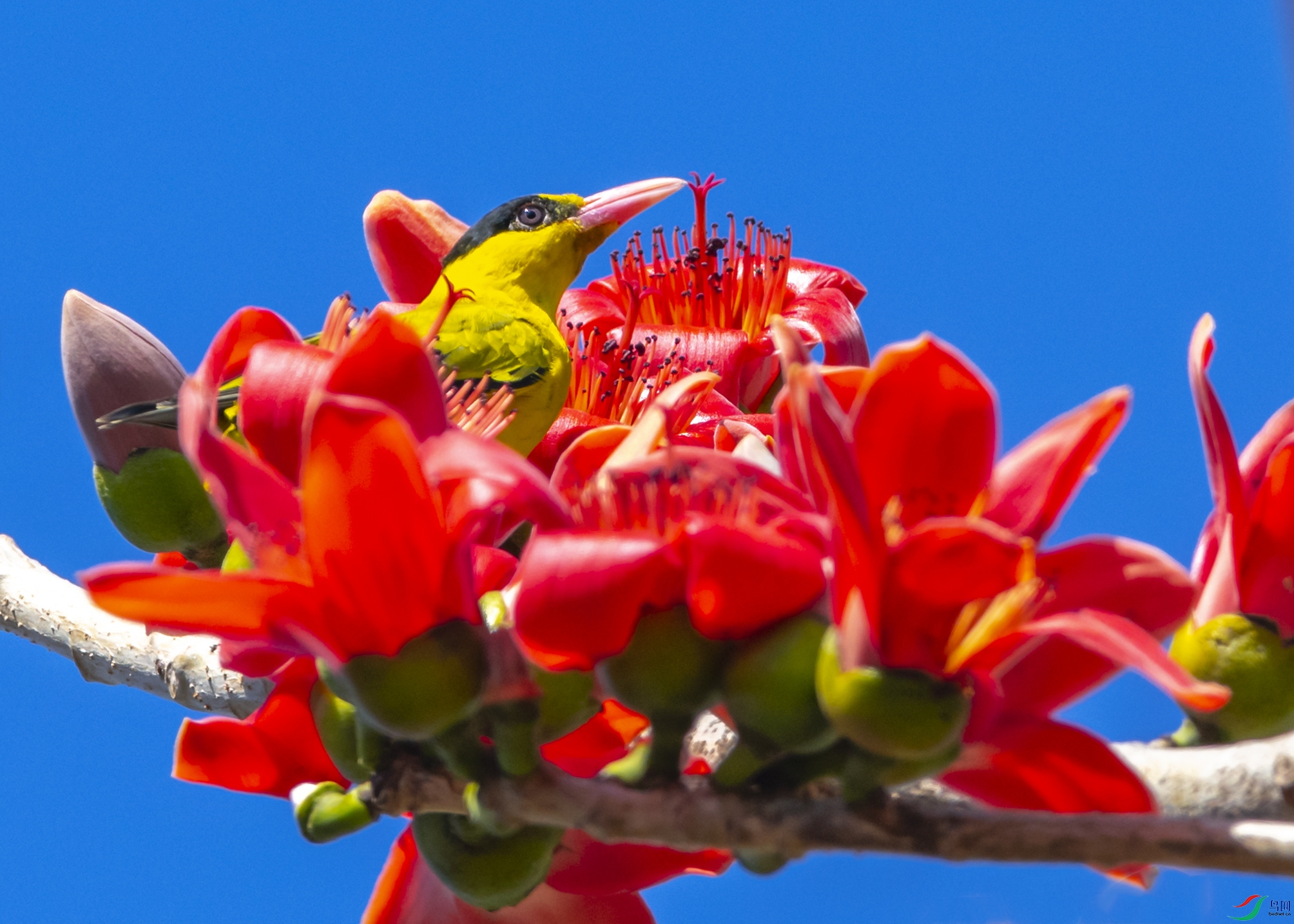 0441 ����.jpg