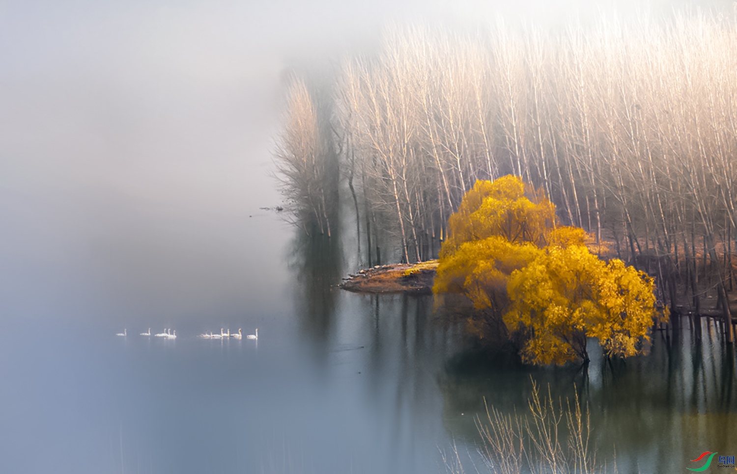 B95A0004 (2).jpg==0009.jpg