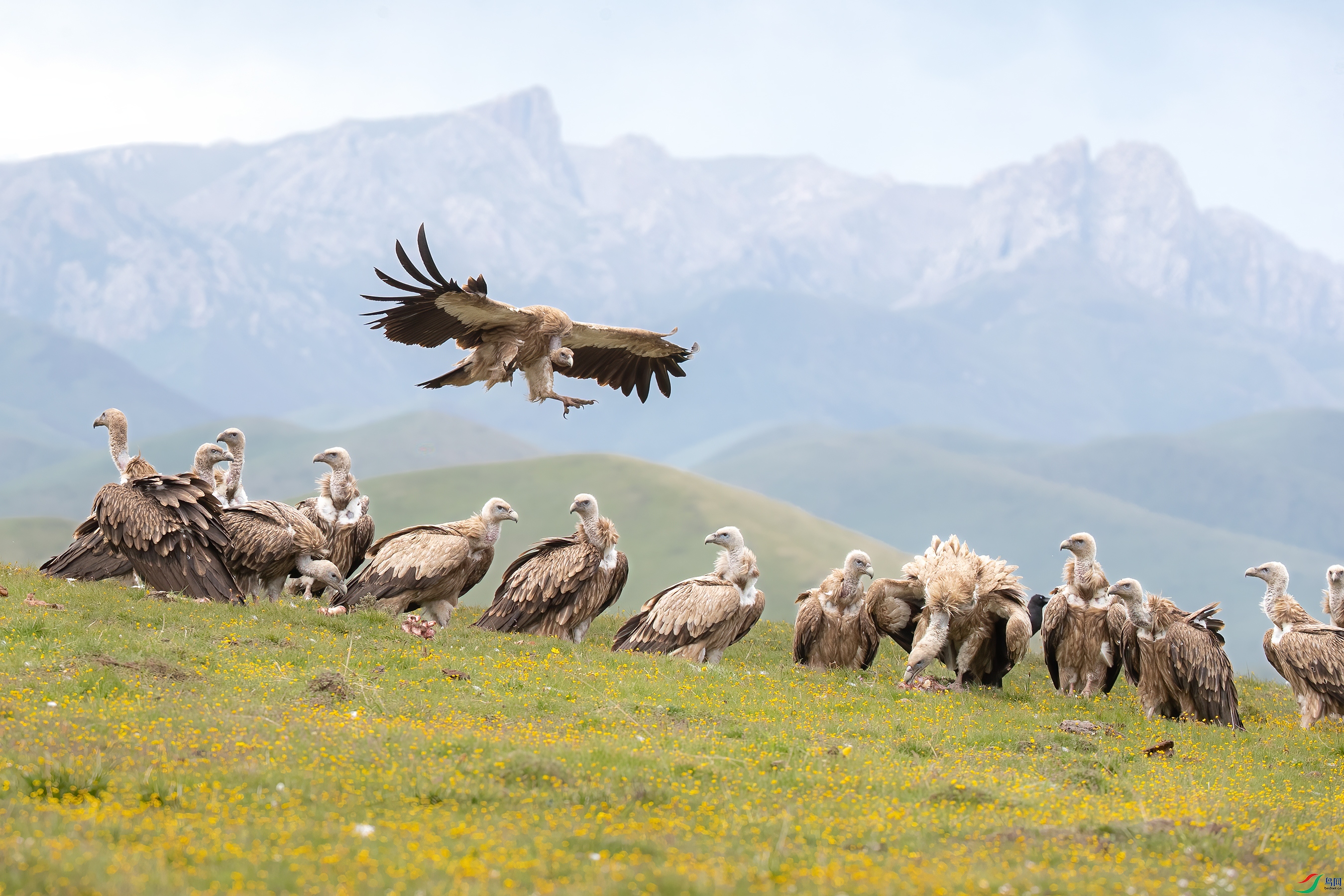 AY8I1527 ����.jpg