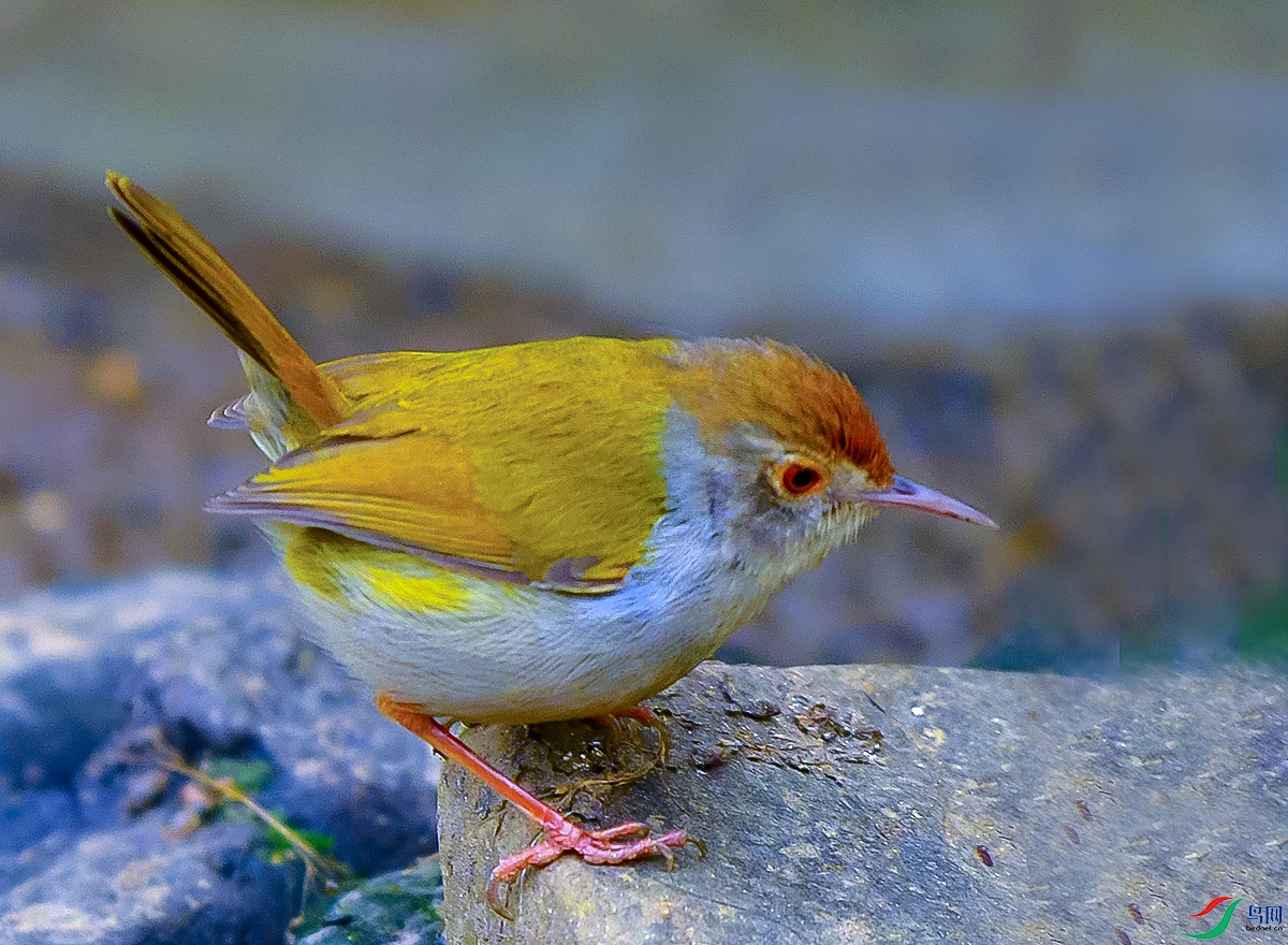 DSC_8893.JPG