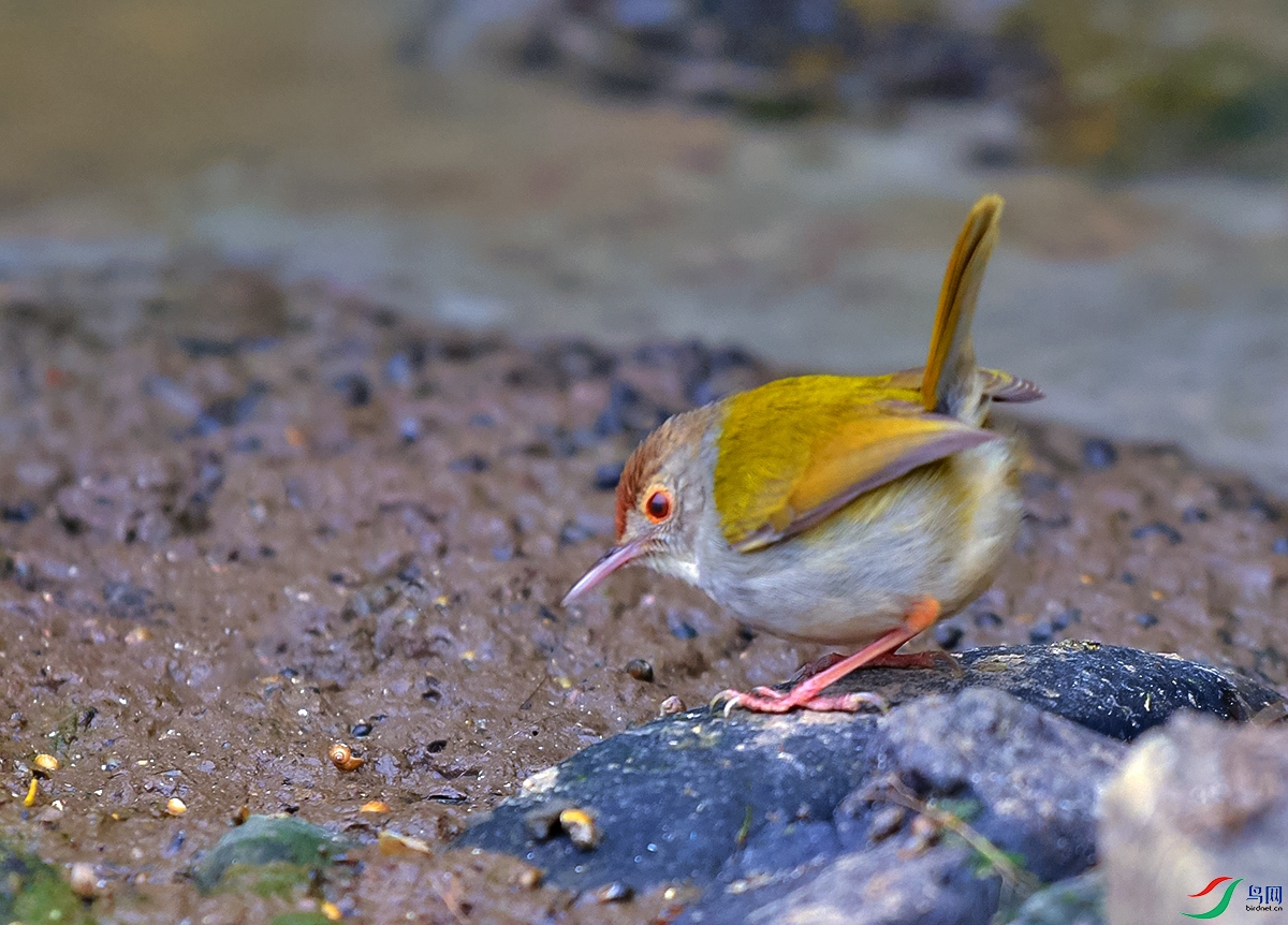 DSC_8875.JPG