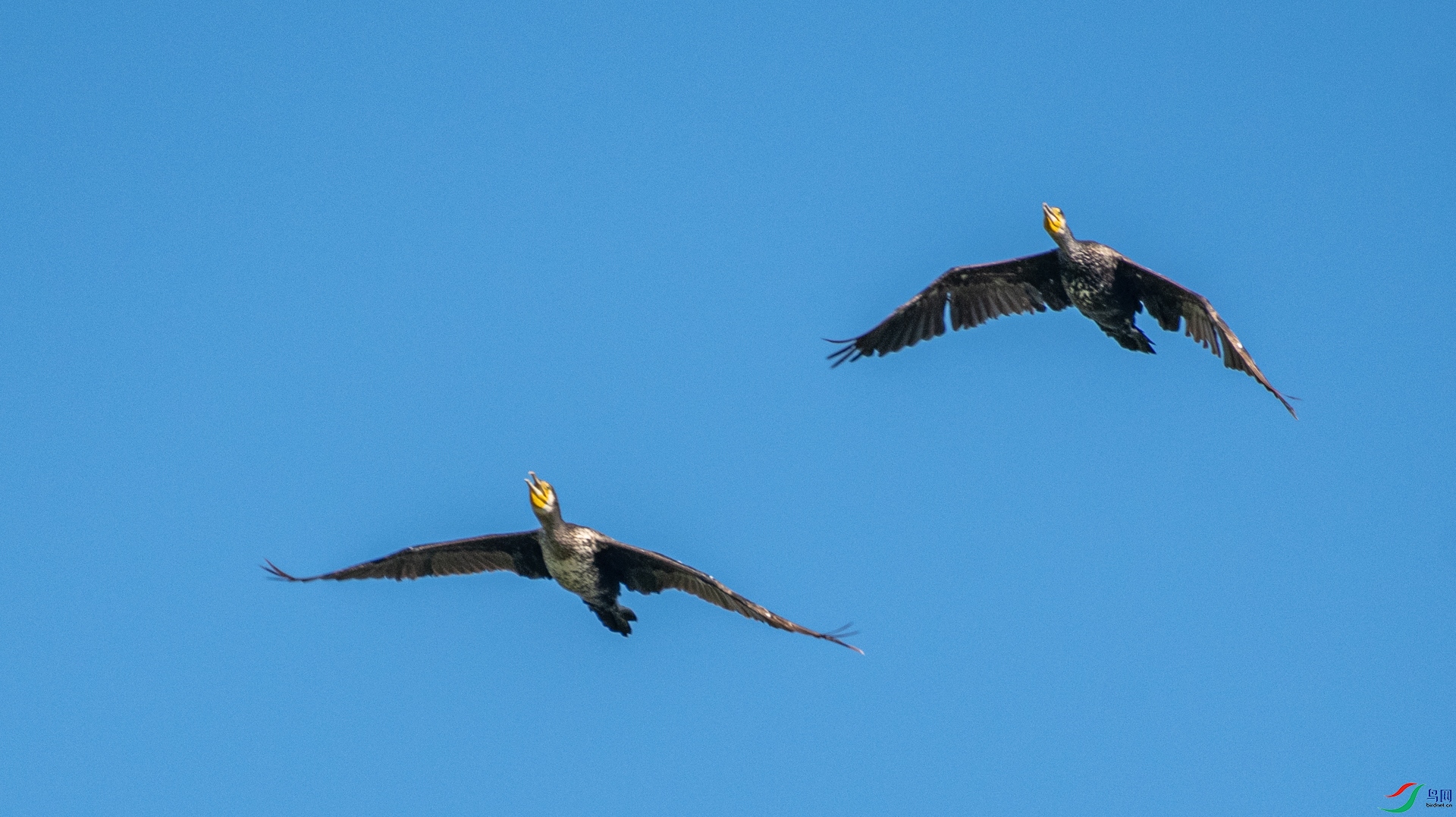 DSC_5729.jpg
