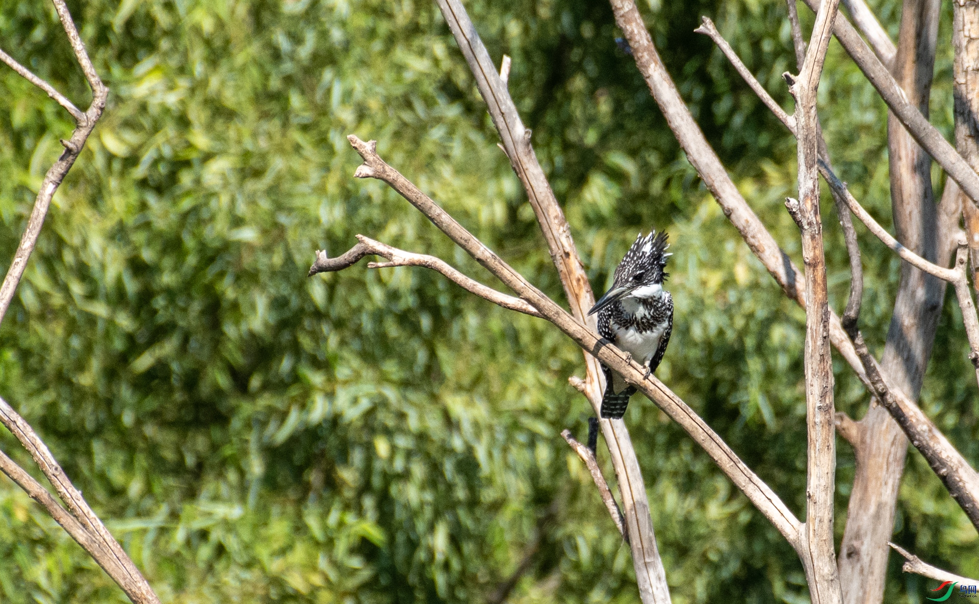DSC_5799.jpg