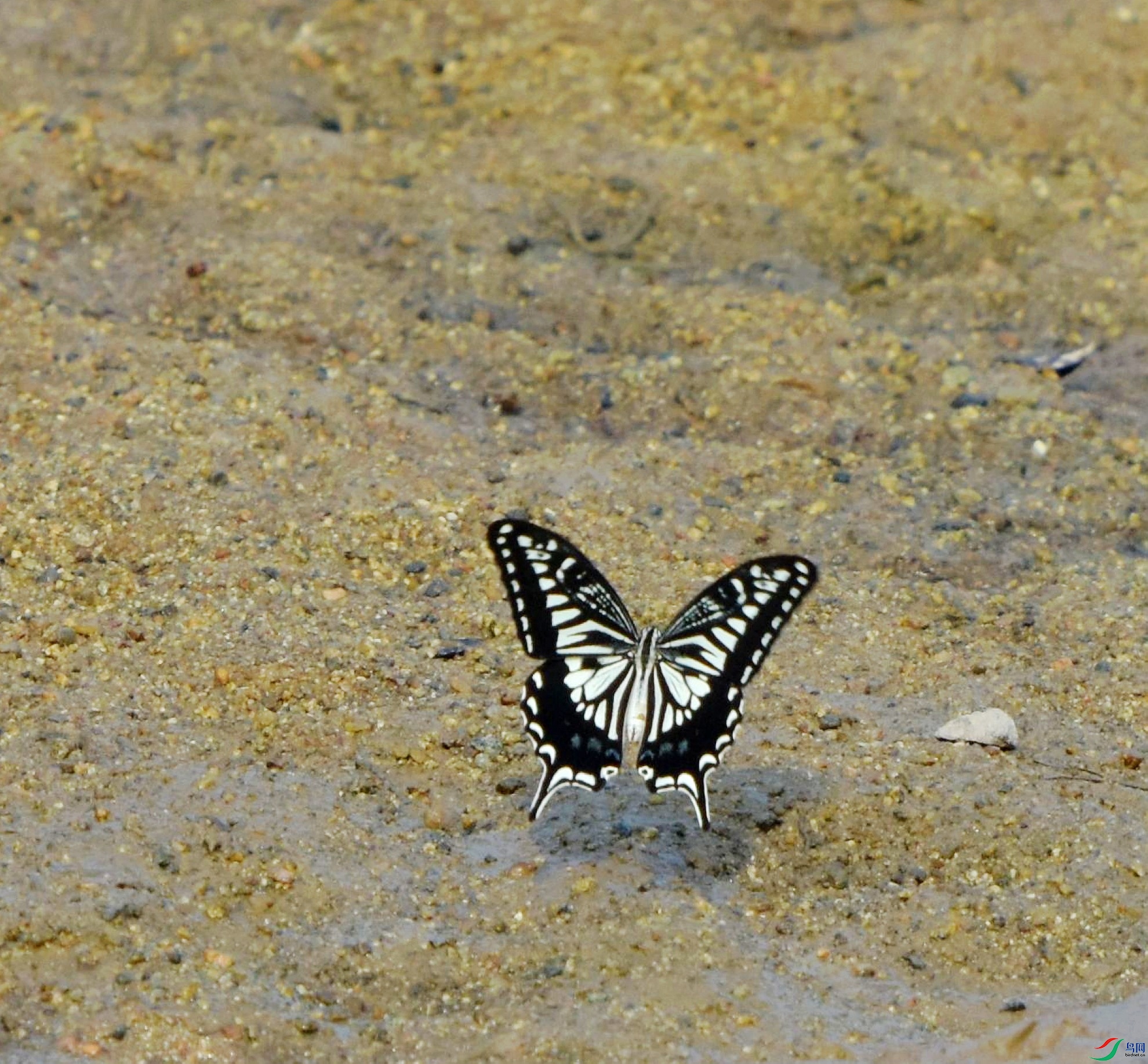 D72_3376.jpg