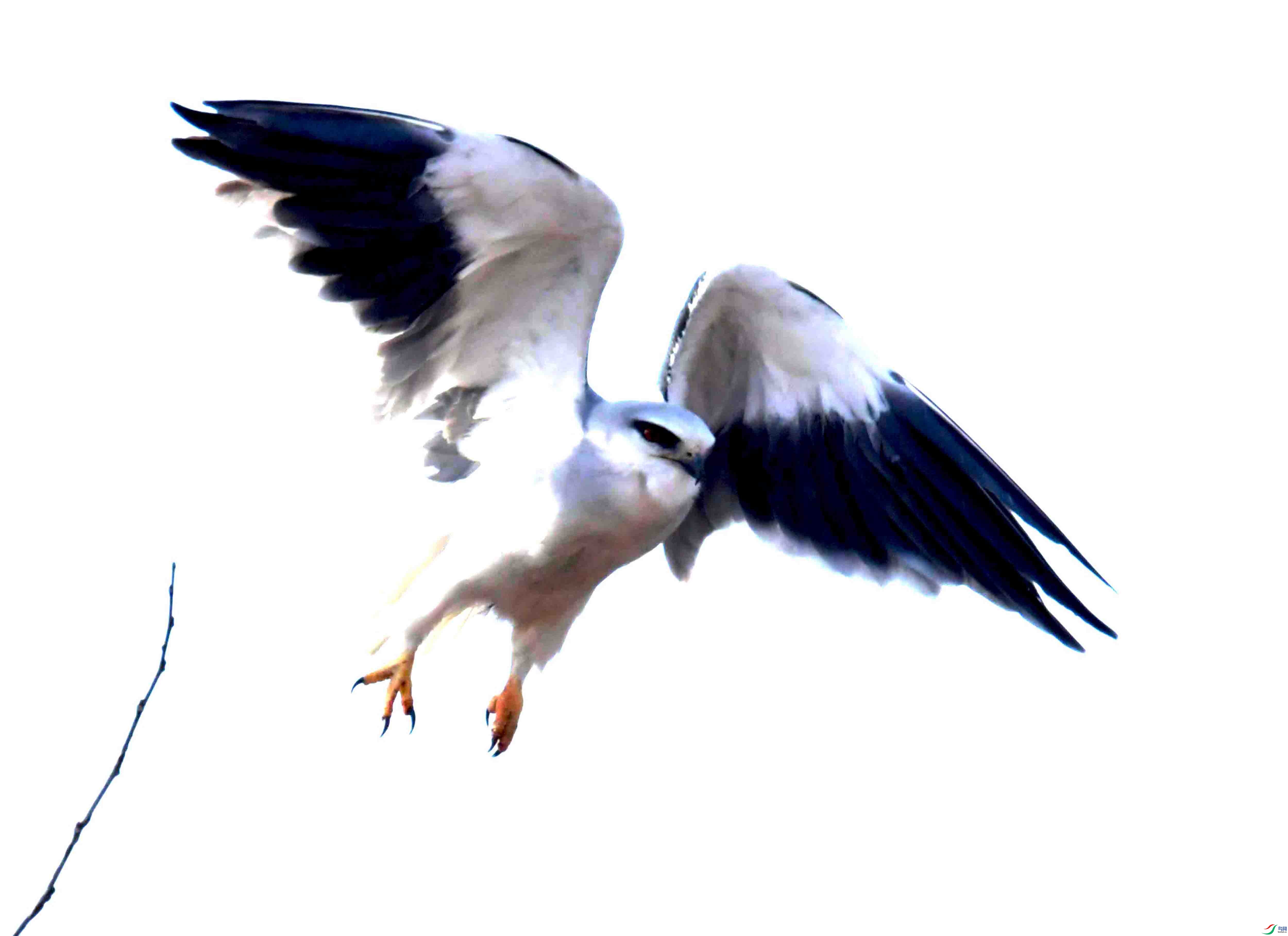 DSC_5171.JPG