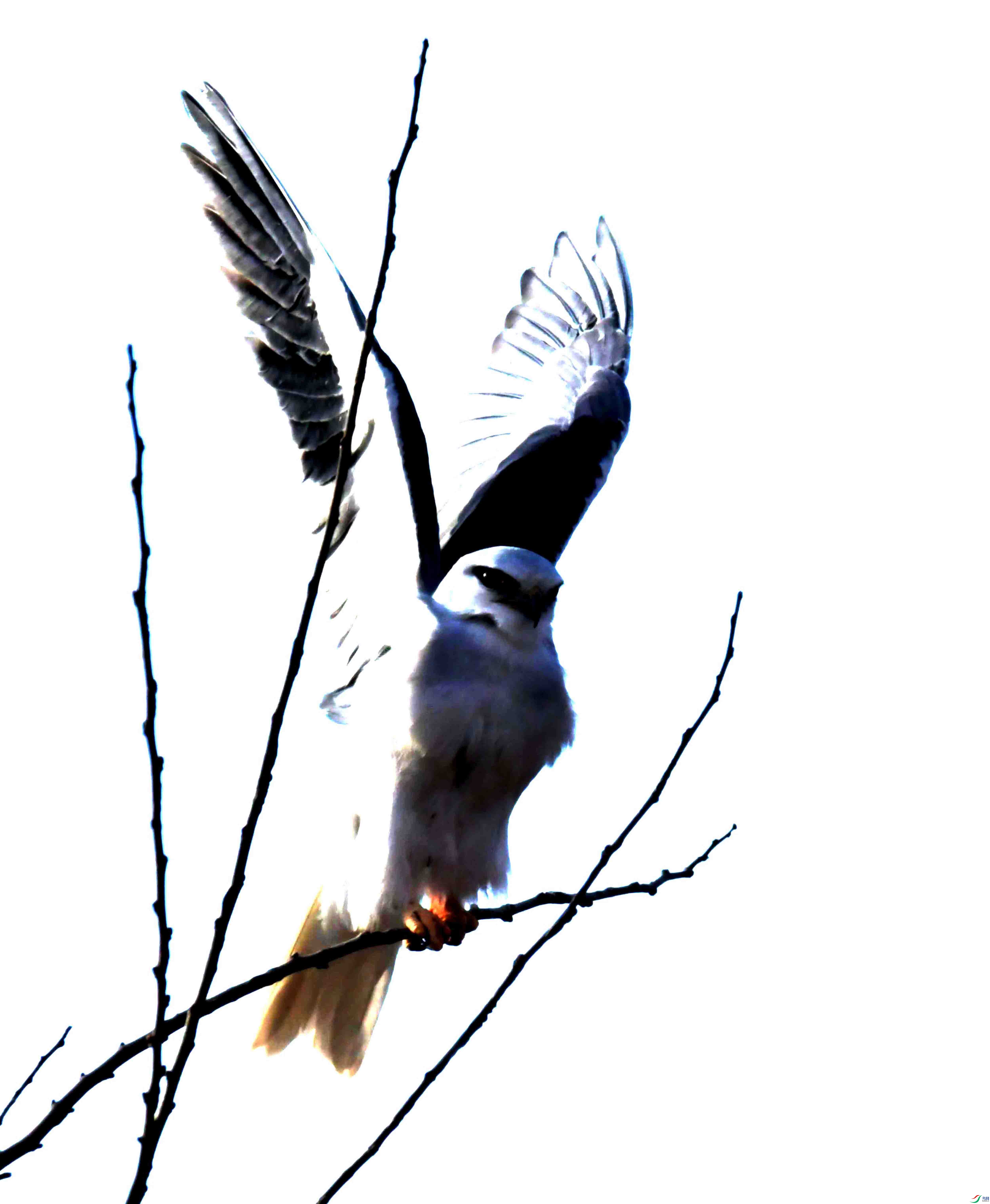 DSC_5169.JPG