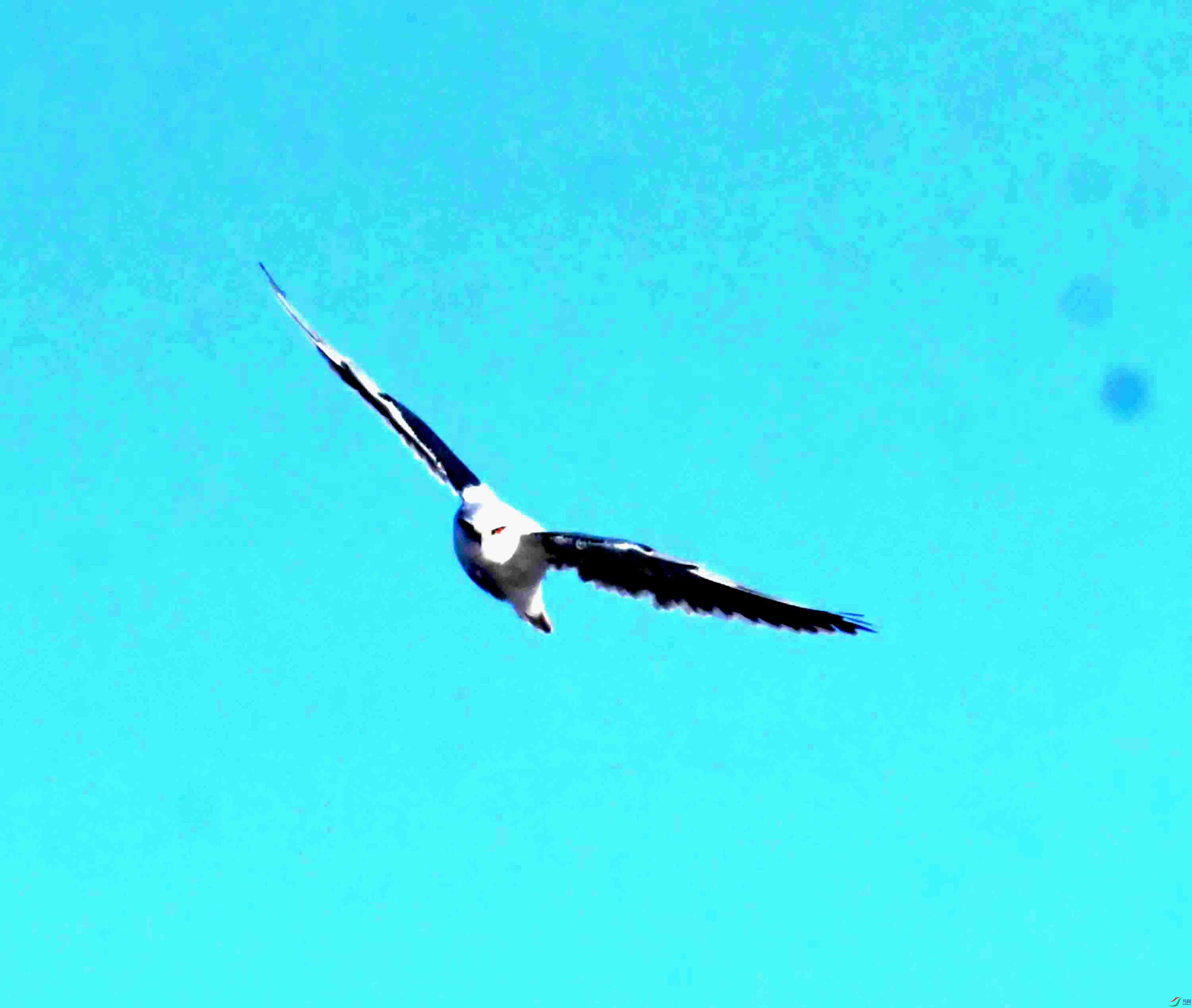 DSC_6590.JPG