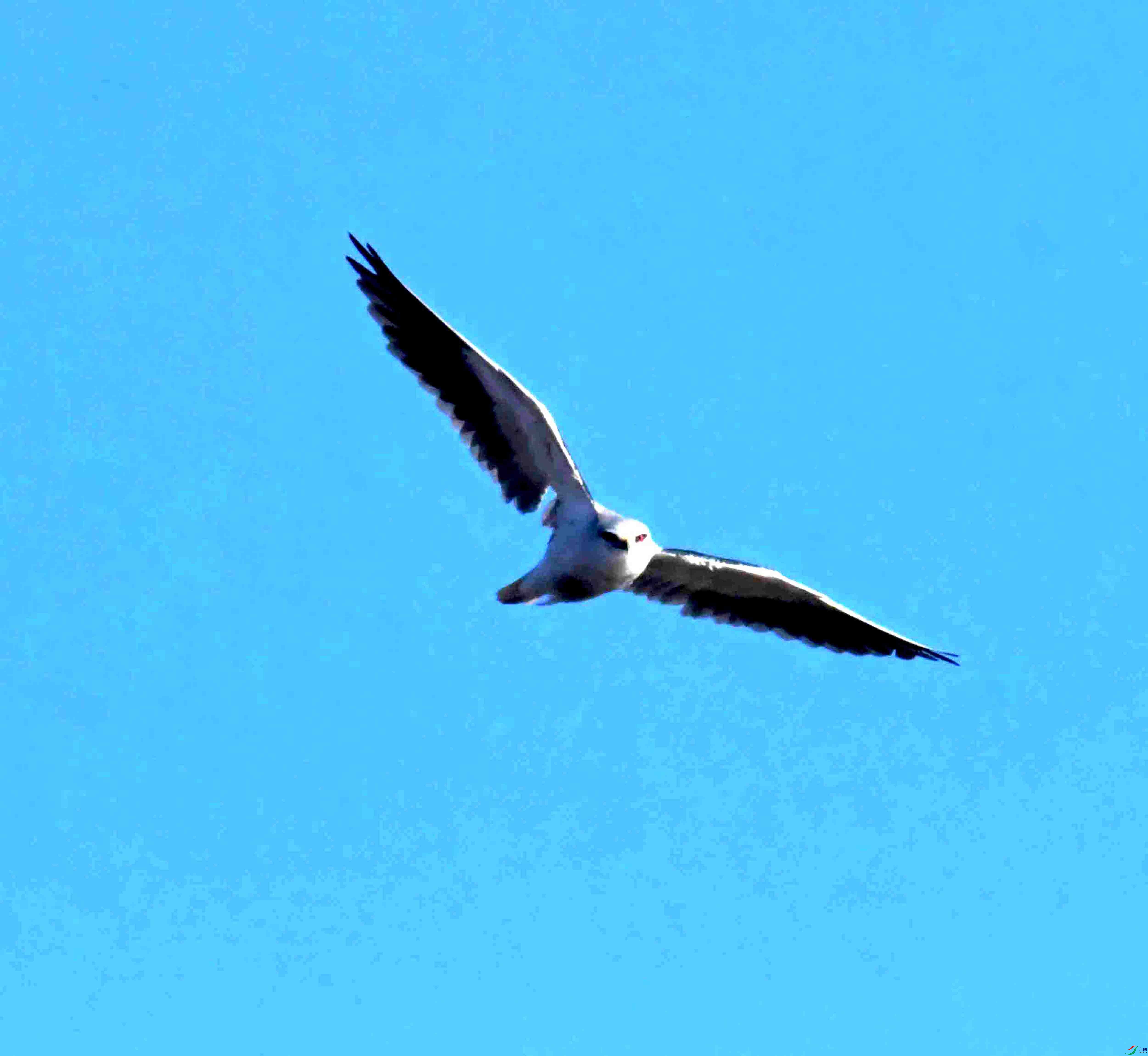 DSC_6594.JPG