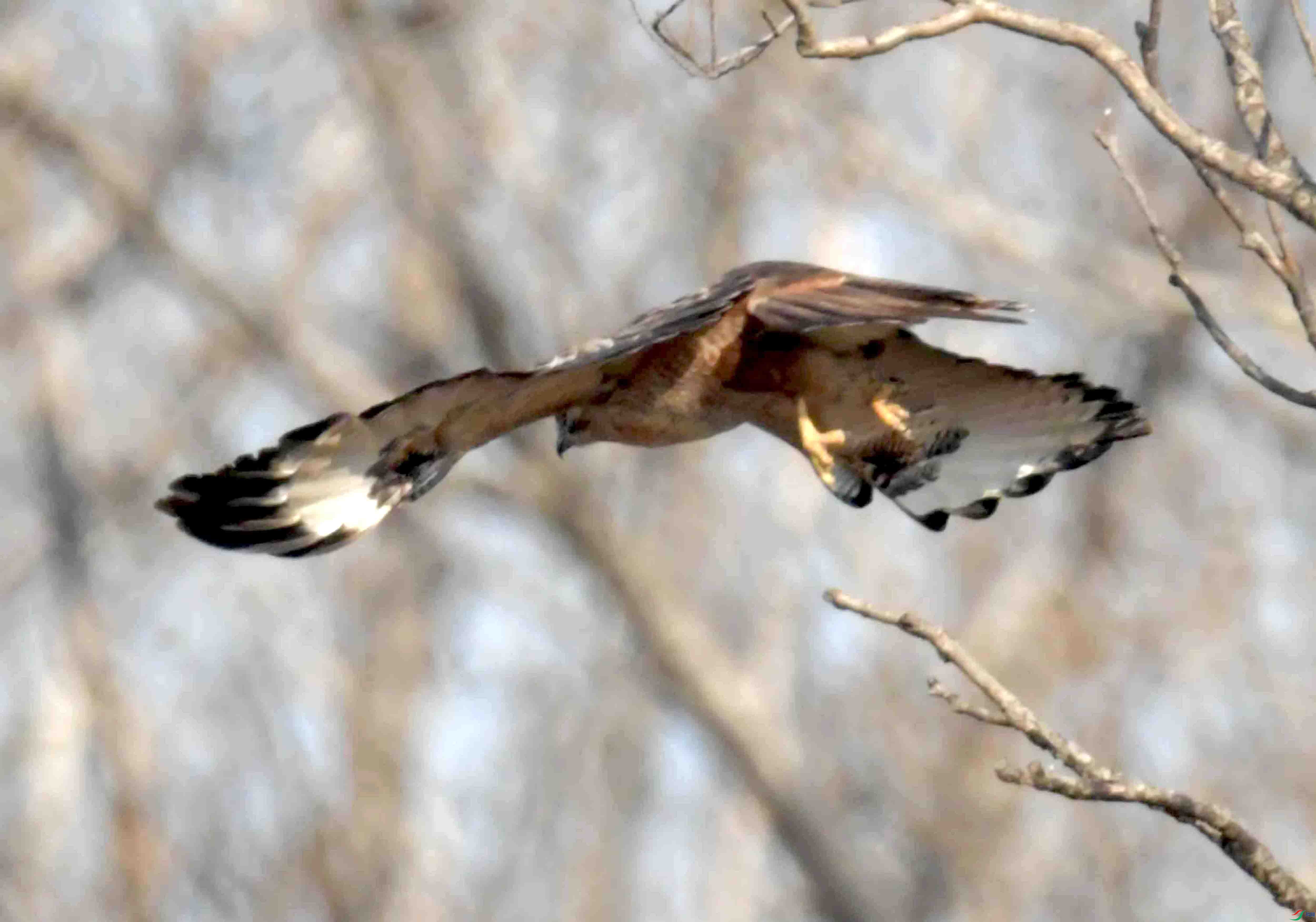 DSC_1476.JPG