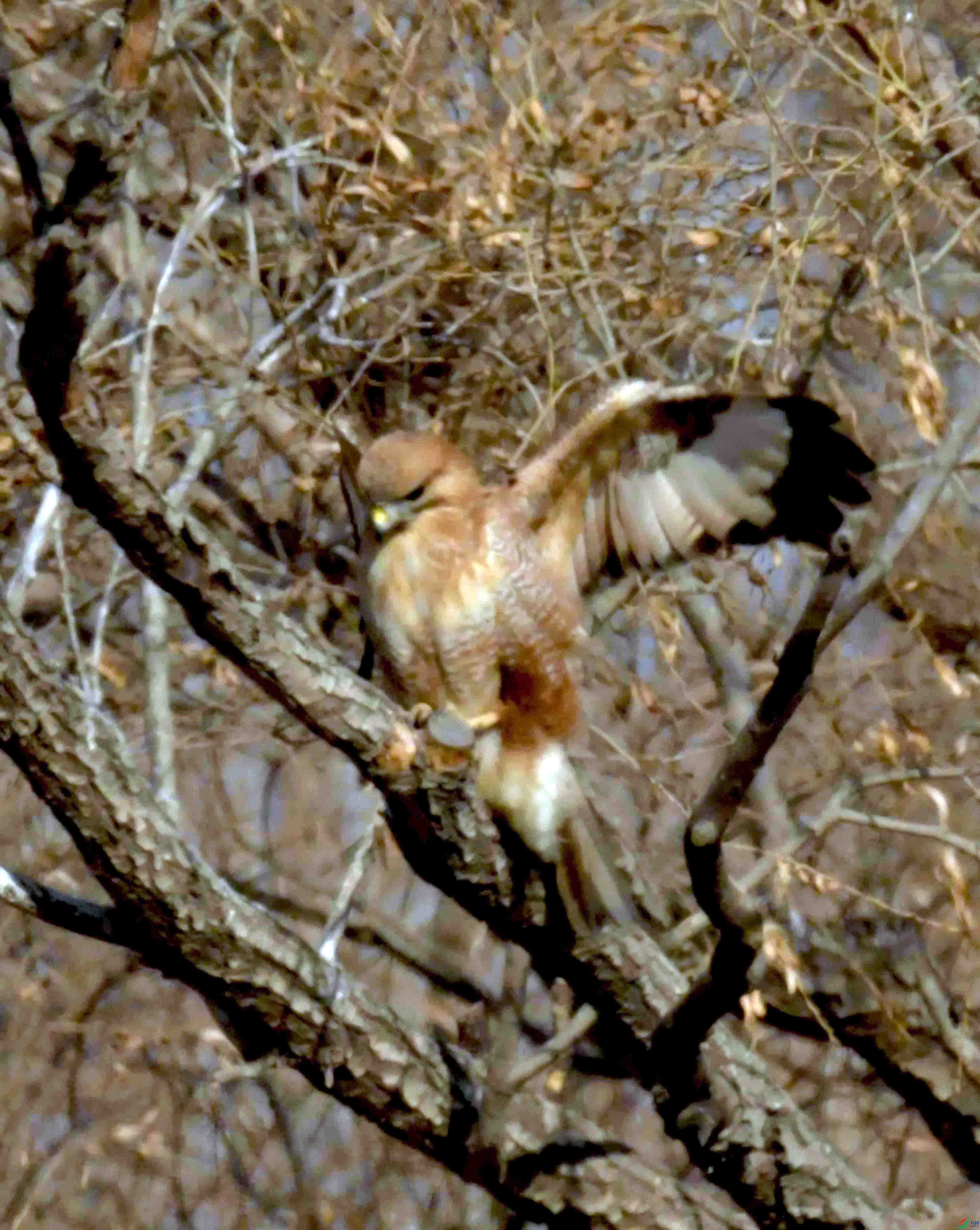 DSC_1655.JPG
