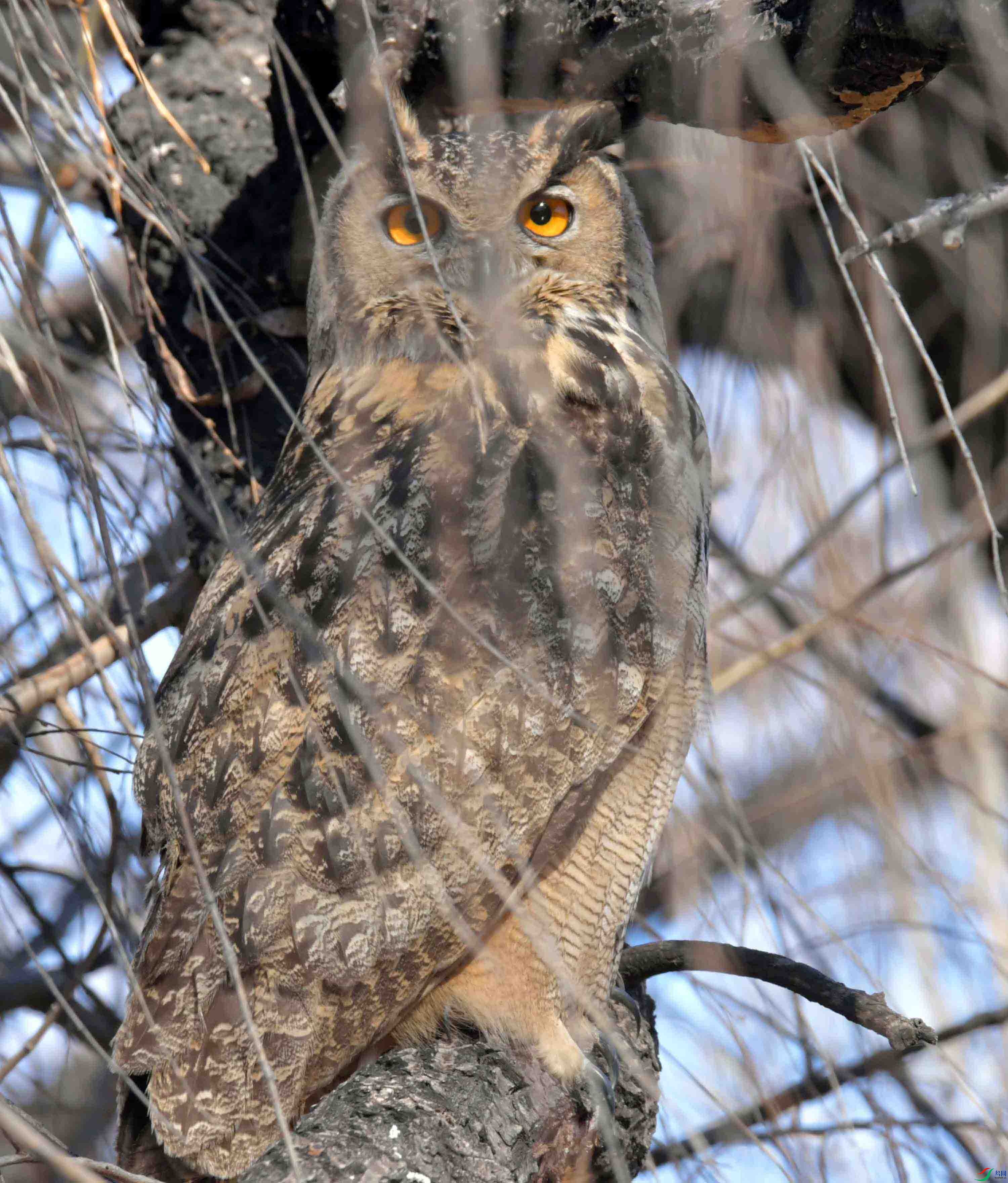 DSC_6156.JPG