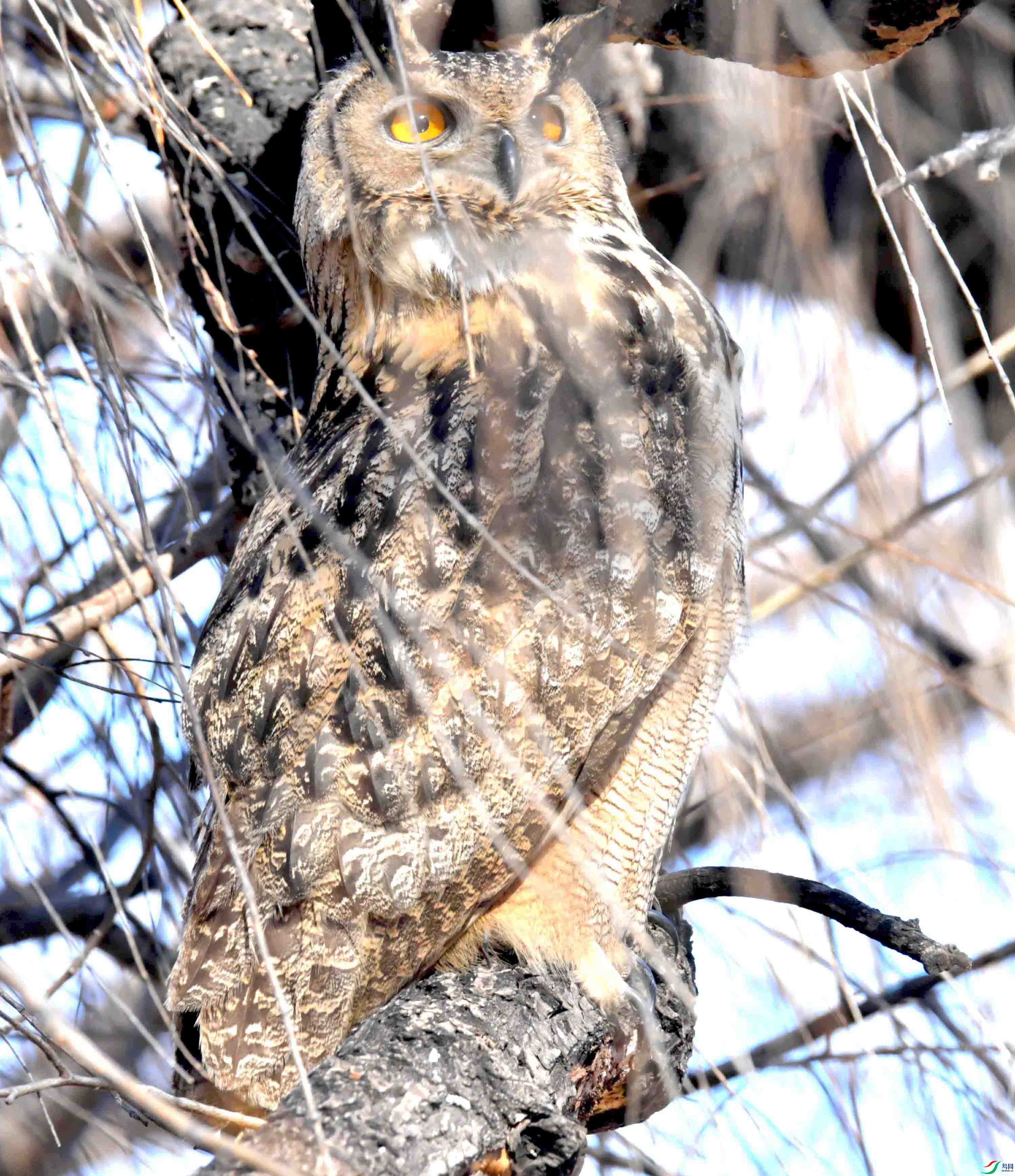 DSC_6162.JPG