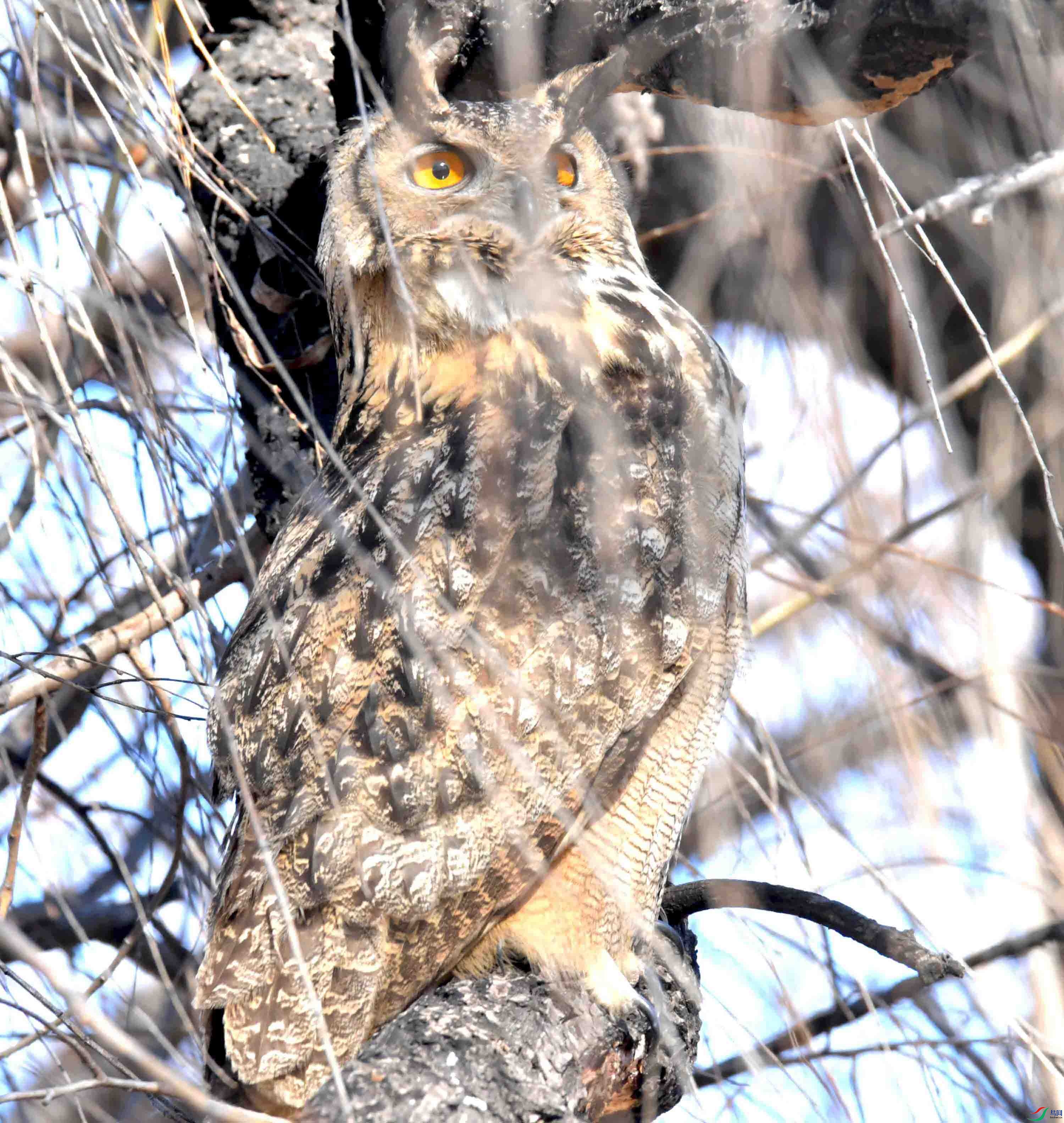 DSC_6166.JPG